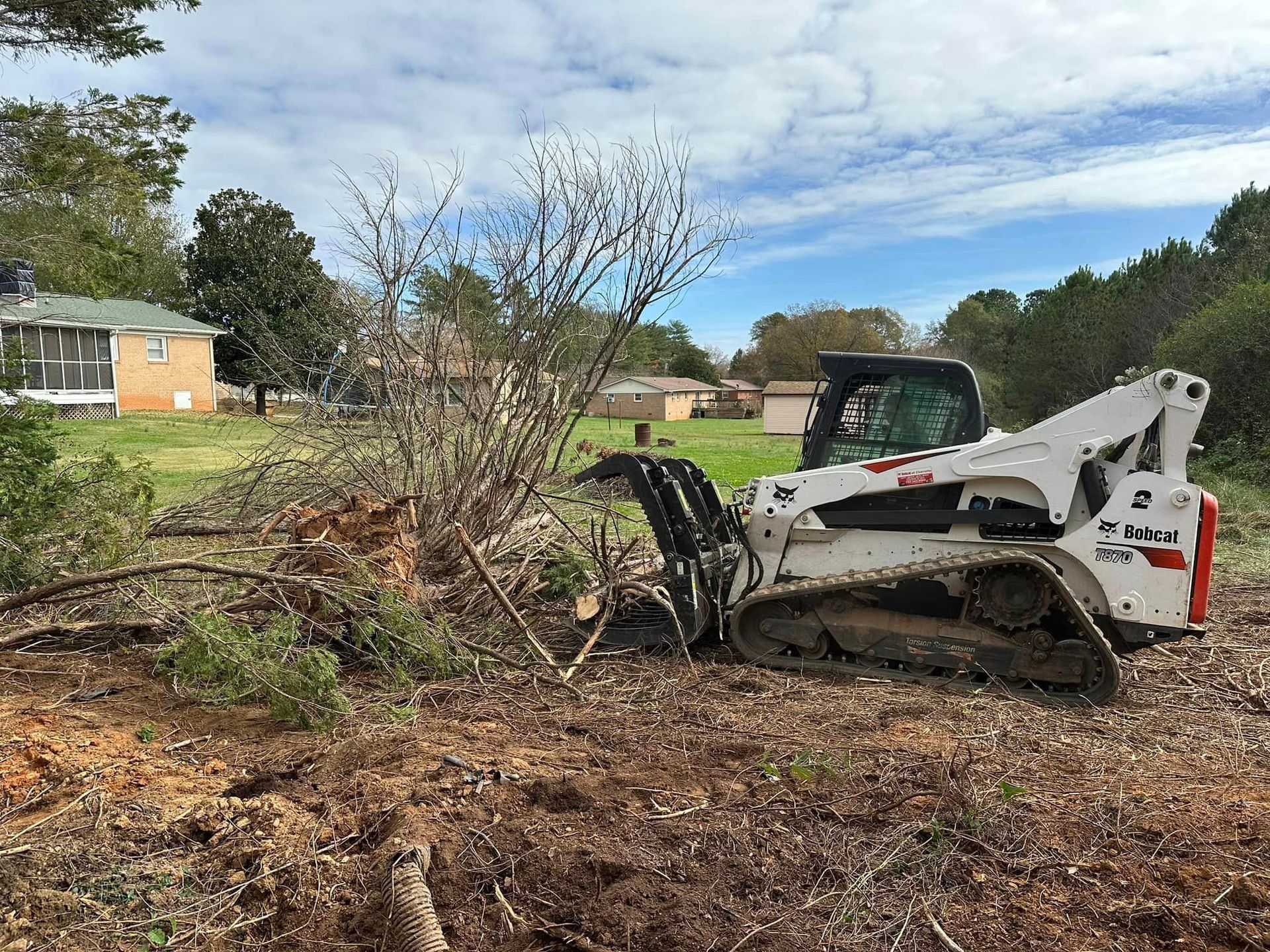 A bobcat is cutting down trees in a field.