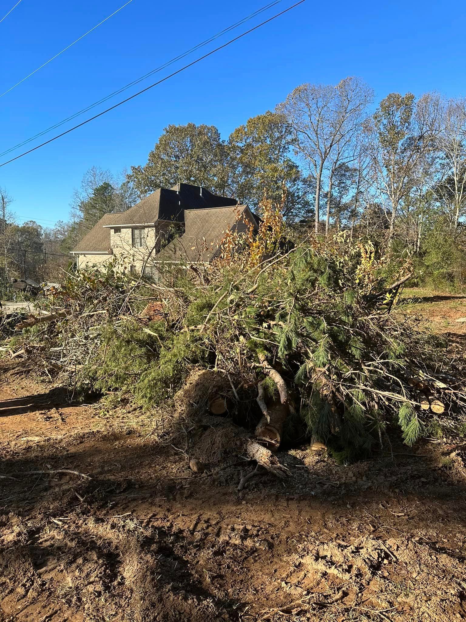 A large tree is sitting in the middle of a dirt field in front of a house.