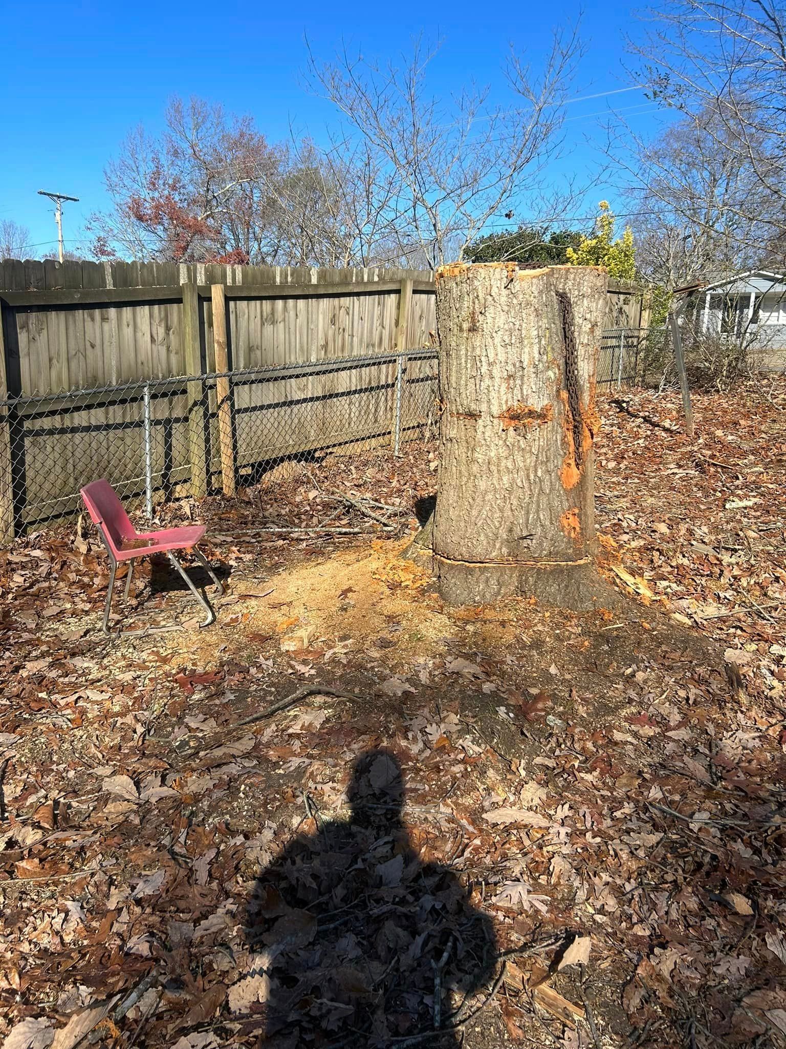 A tree stump is sitting in the middle of a pile of leaves next to a wooden fence.