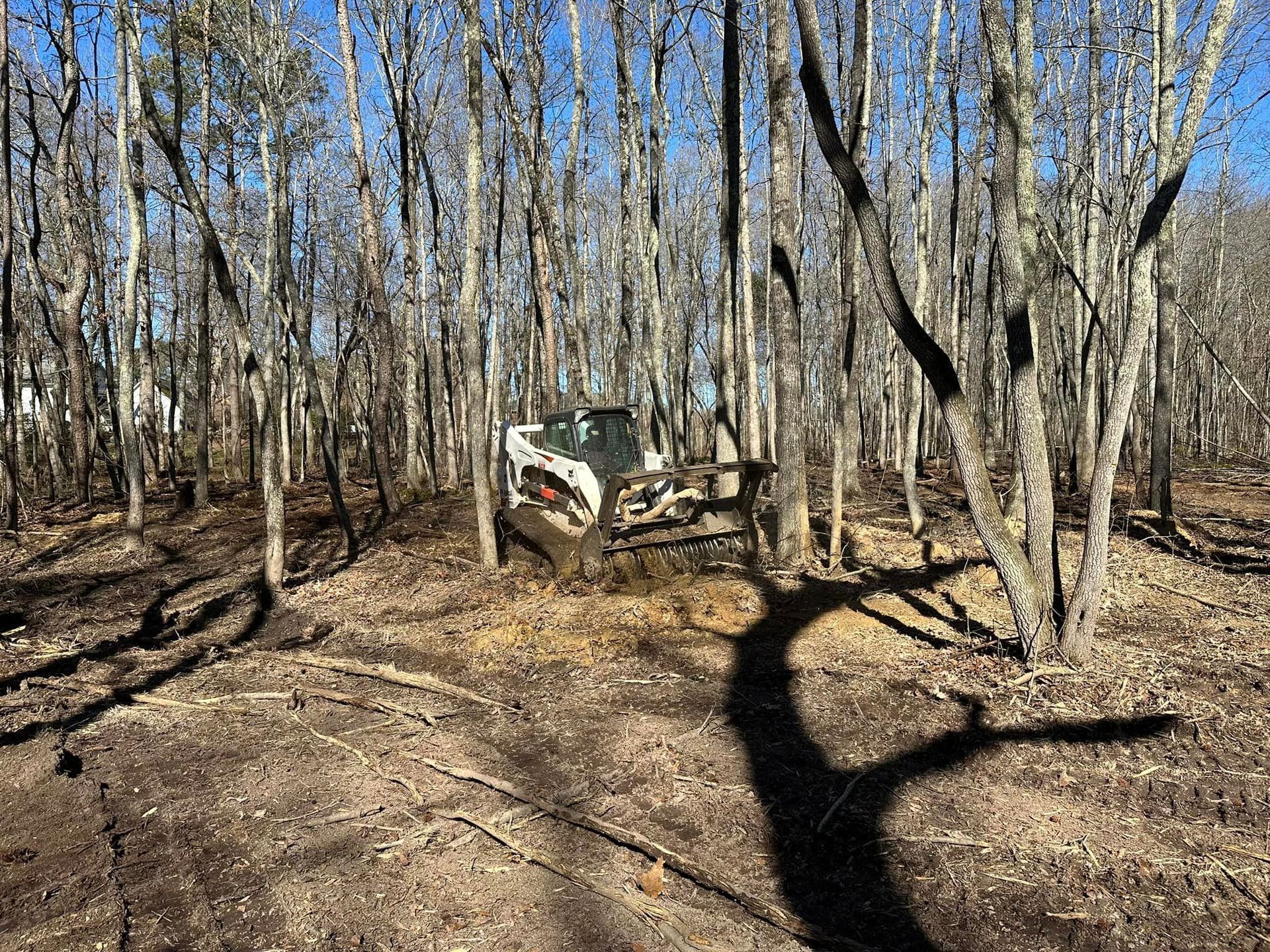 A jeep is parked in the middle of a forest.