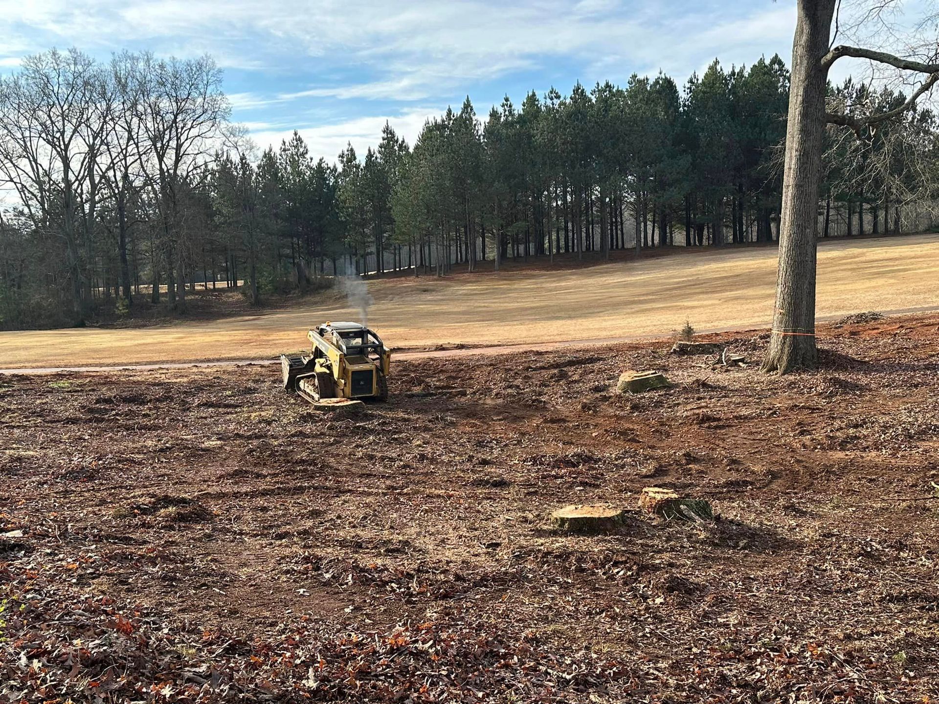 A tractor is cutting a tree in a field with trees in the background.