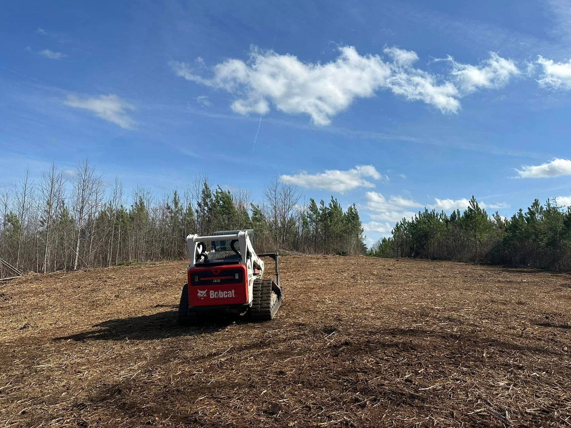 A bobcat is sitting in the middle of a field.