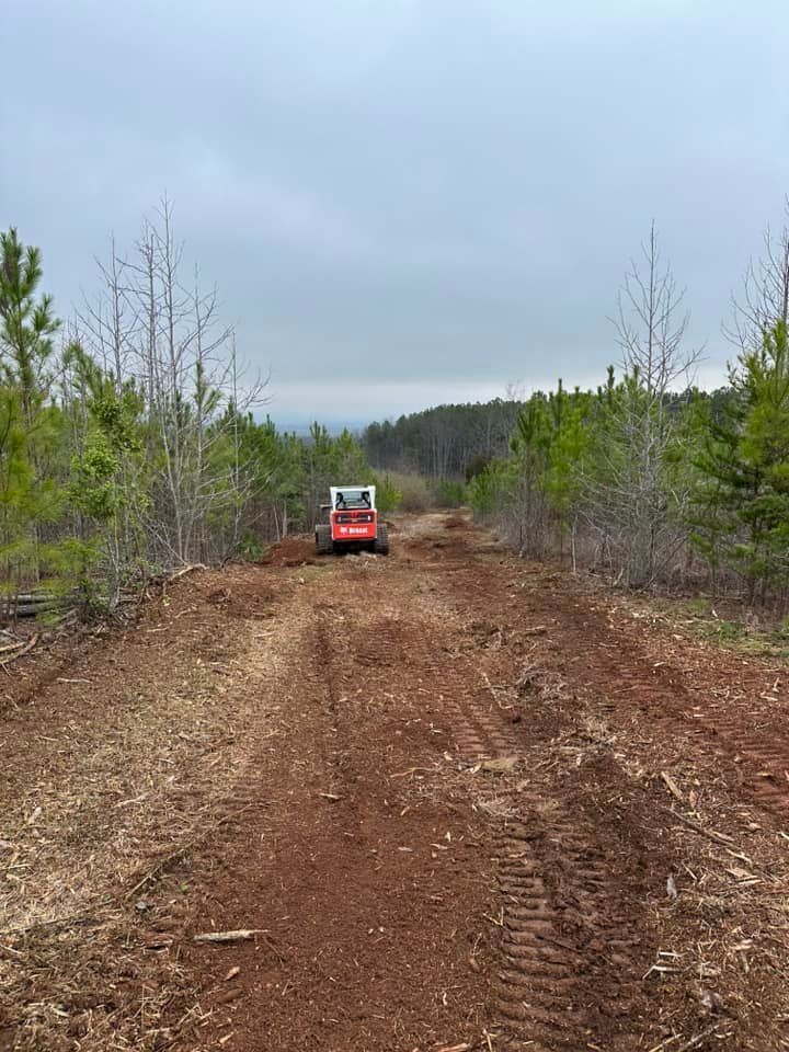 A bulldozer is driving down a dirt road in the middle of a forest.