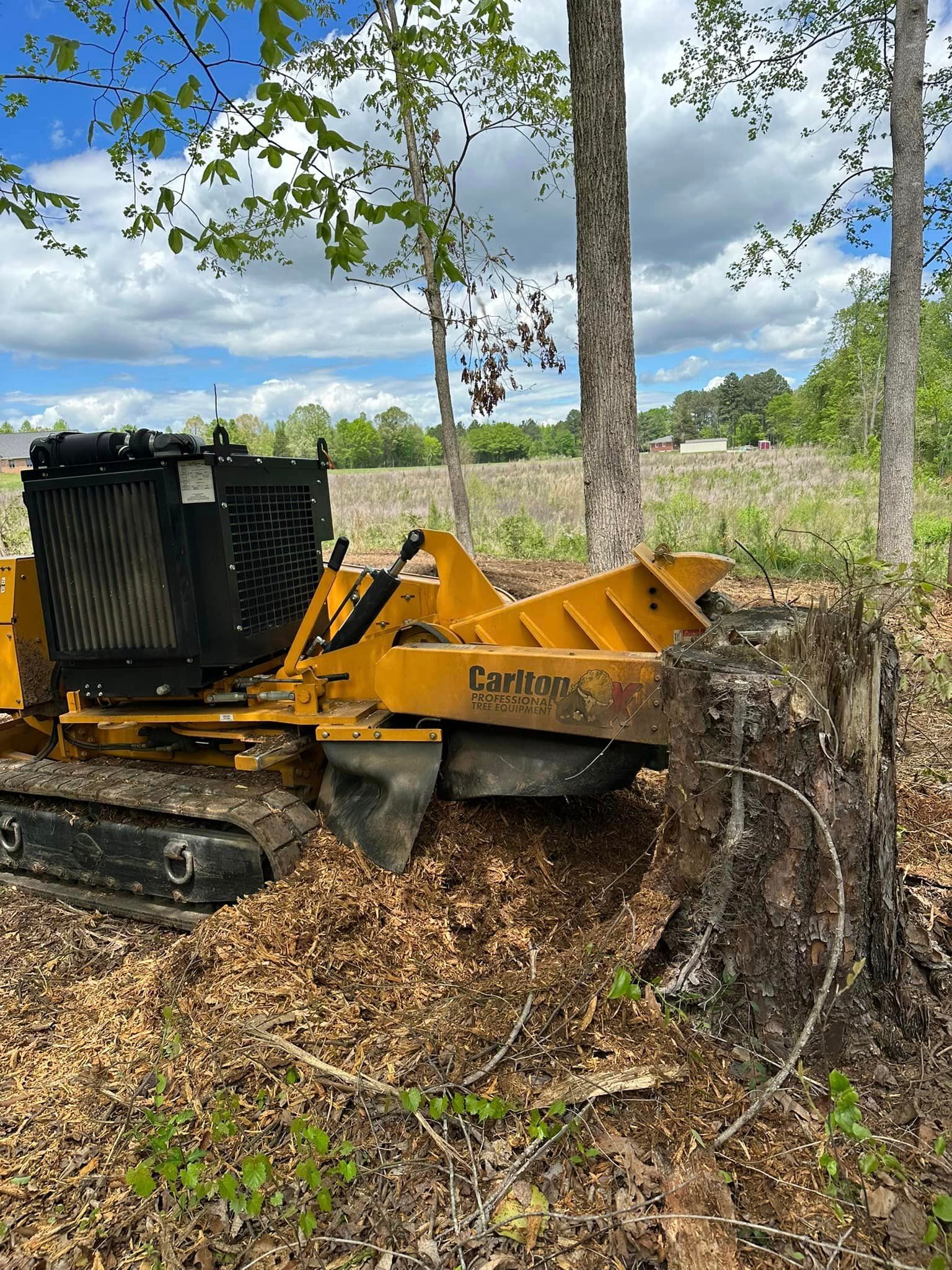 A yellow stump grinder is sitting next to a tree stump in the woods.