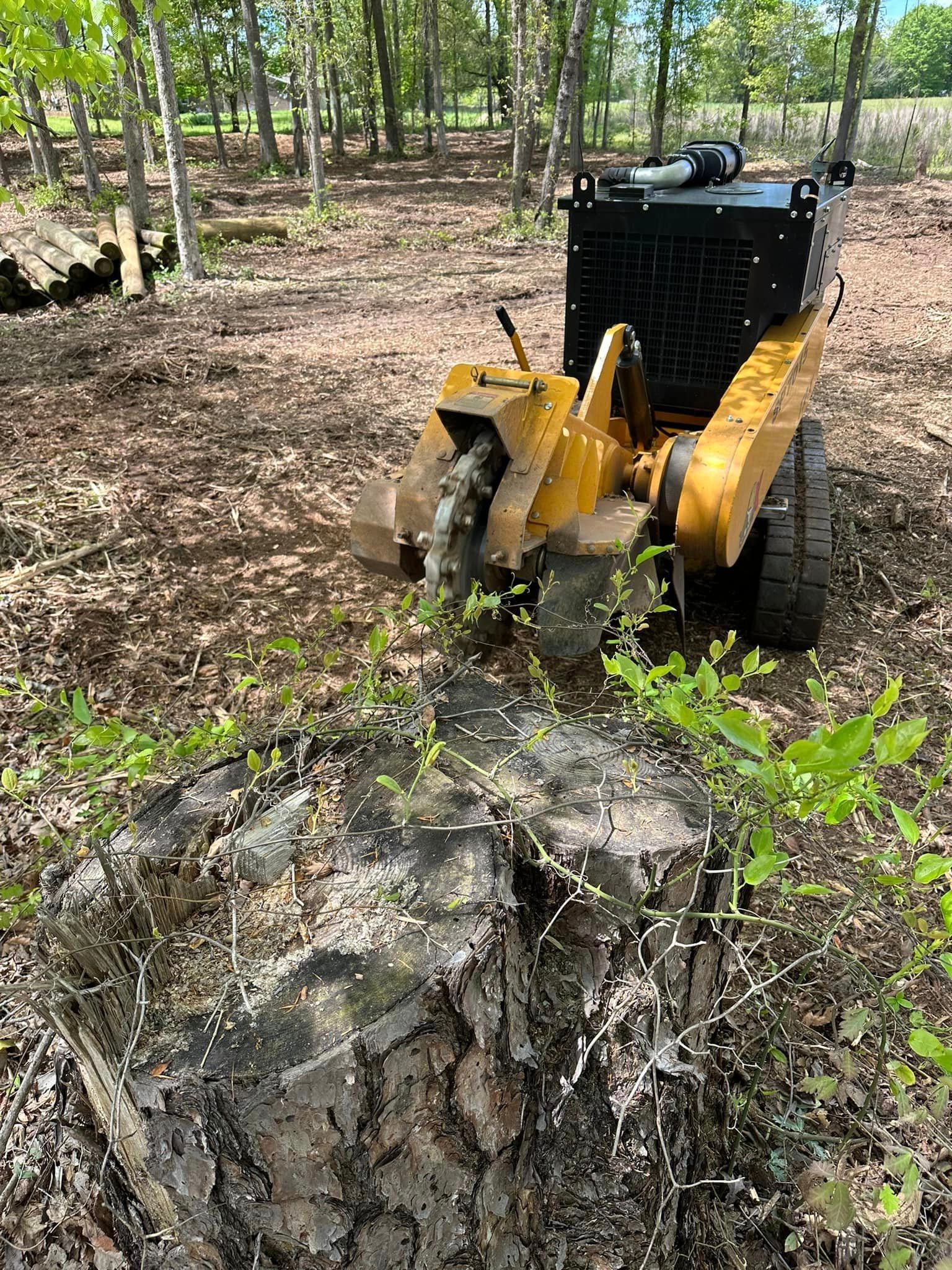 A stump grinder is sitting next to a large tree stump in the woods.