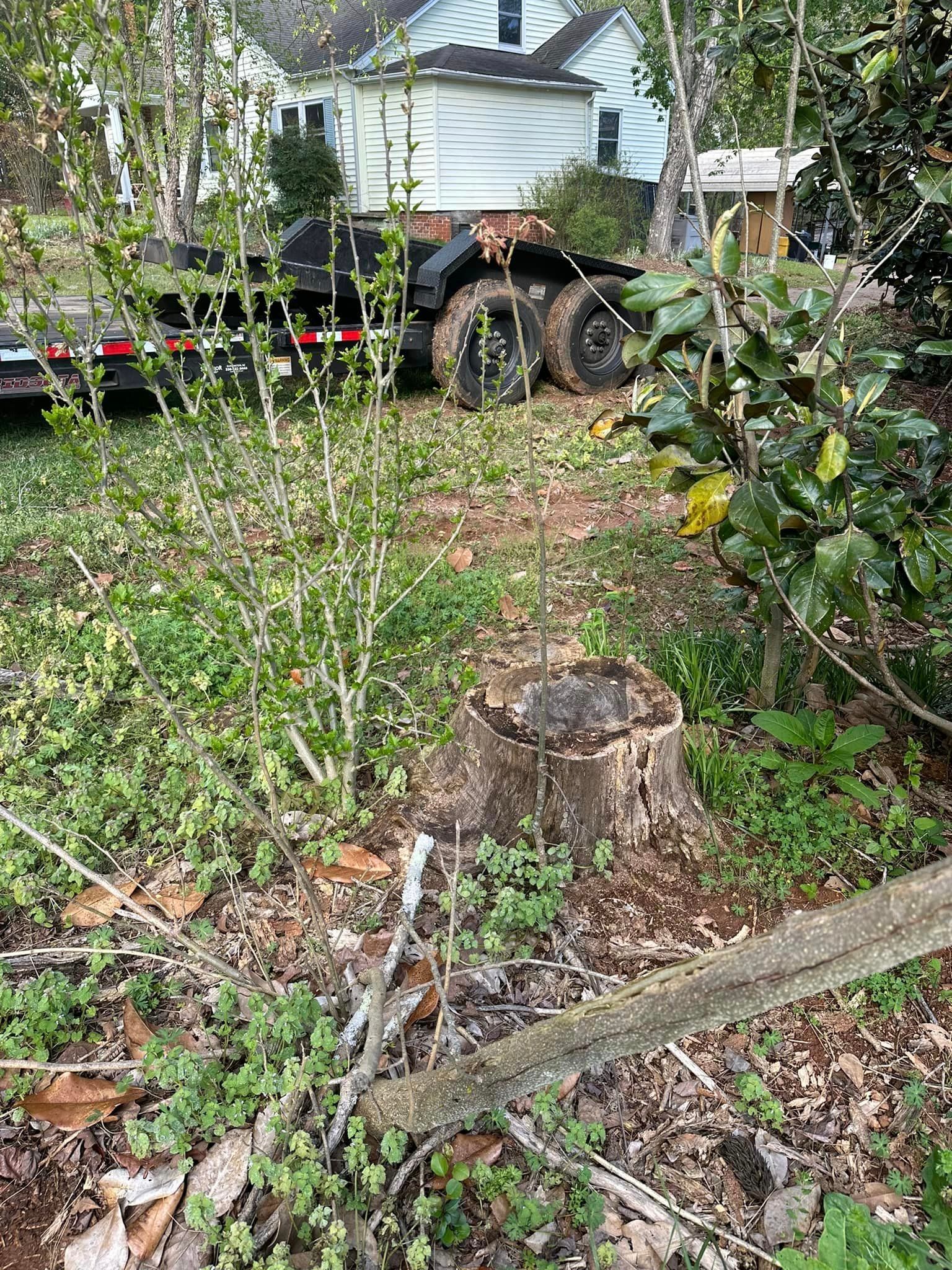 A stump in the middle of a yard with a trailer in the background.
