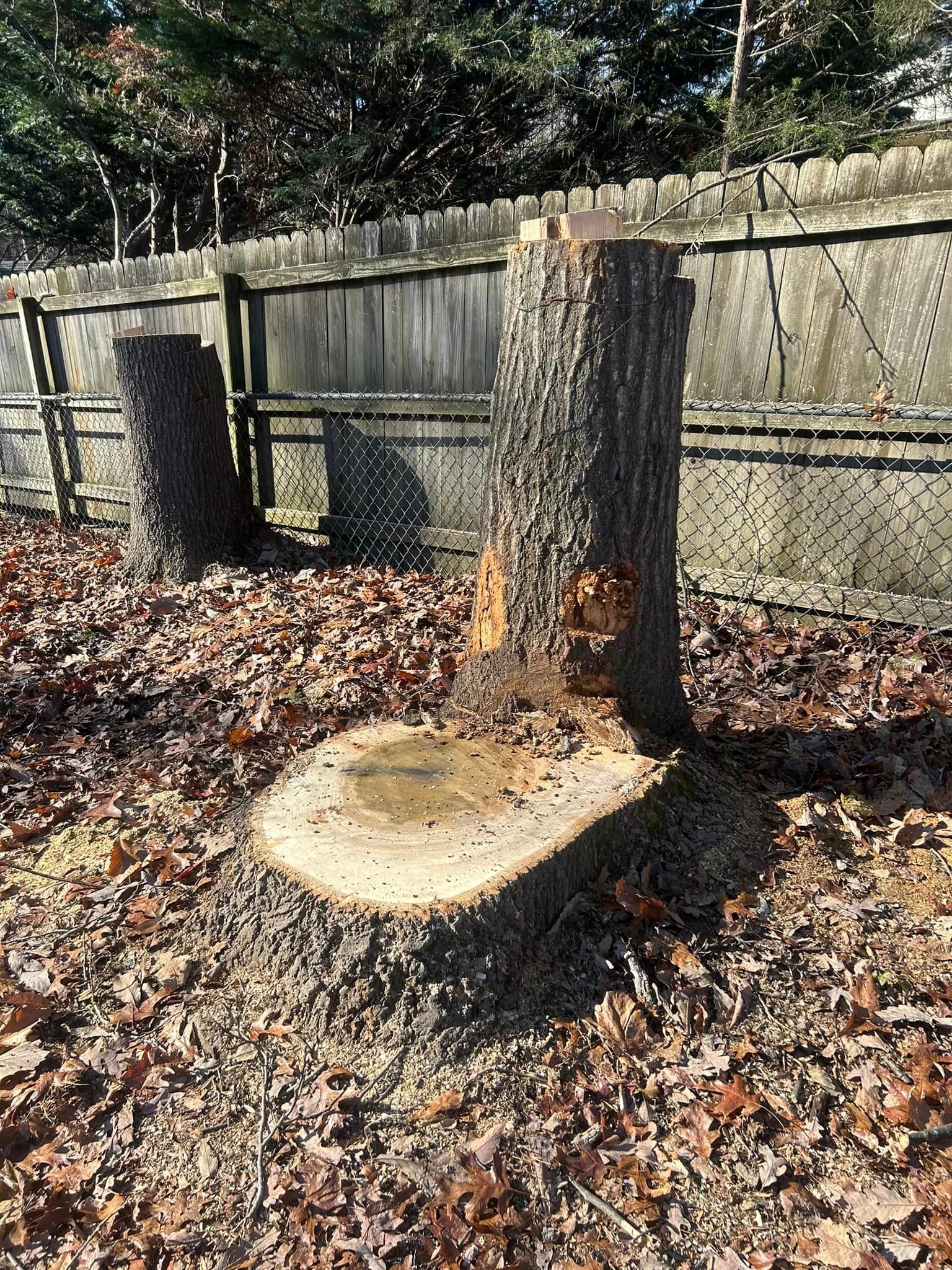 A tree stump is sitting in the middle of a pile of leaves.