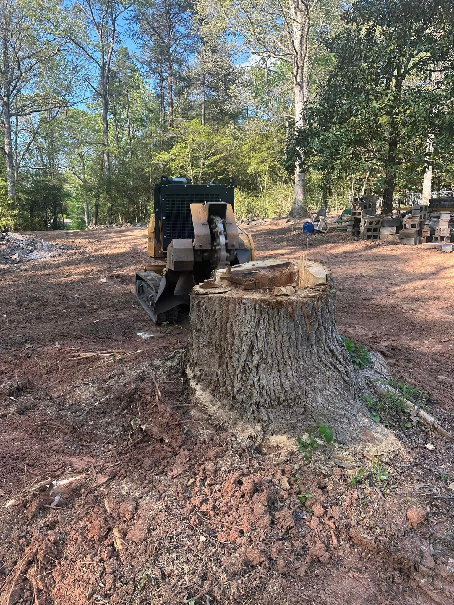 A bulldozer is cutting down a tree stump in the woods.
