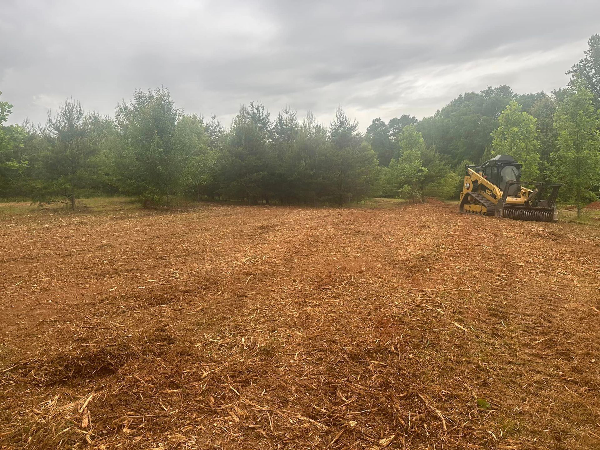 A bulldozer is working in a field with trees in the background.