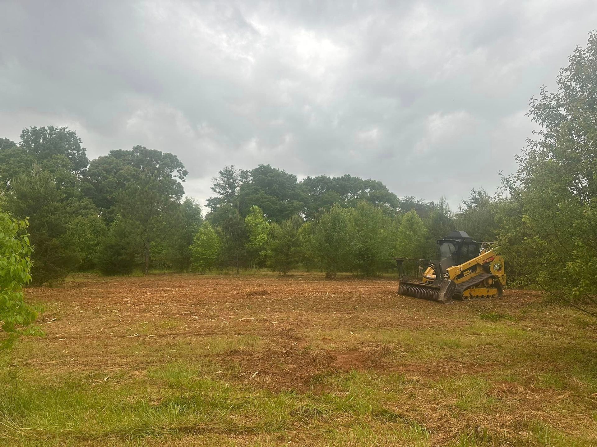 A bulldozer is sitting in a field with trees in the background.
