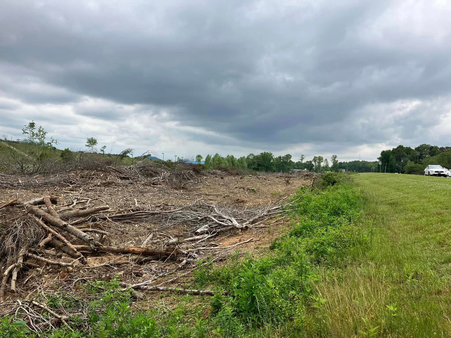 A large pile of wood is sitting in the middle of a field.