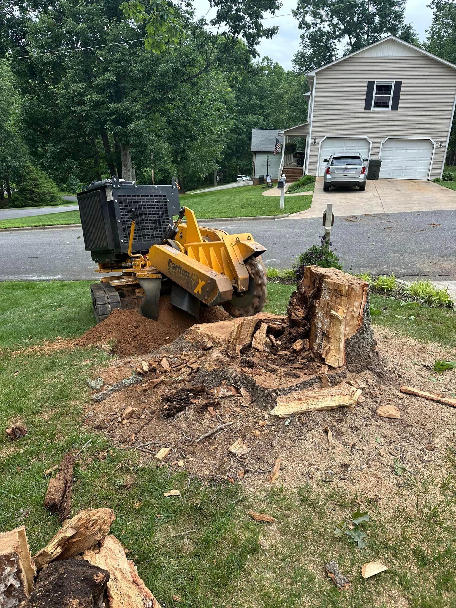 A stump grinder is cutting a tree stump in front of a house.