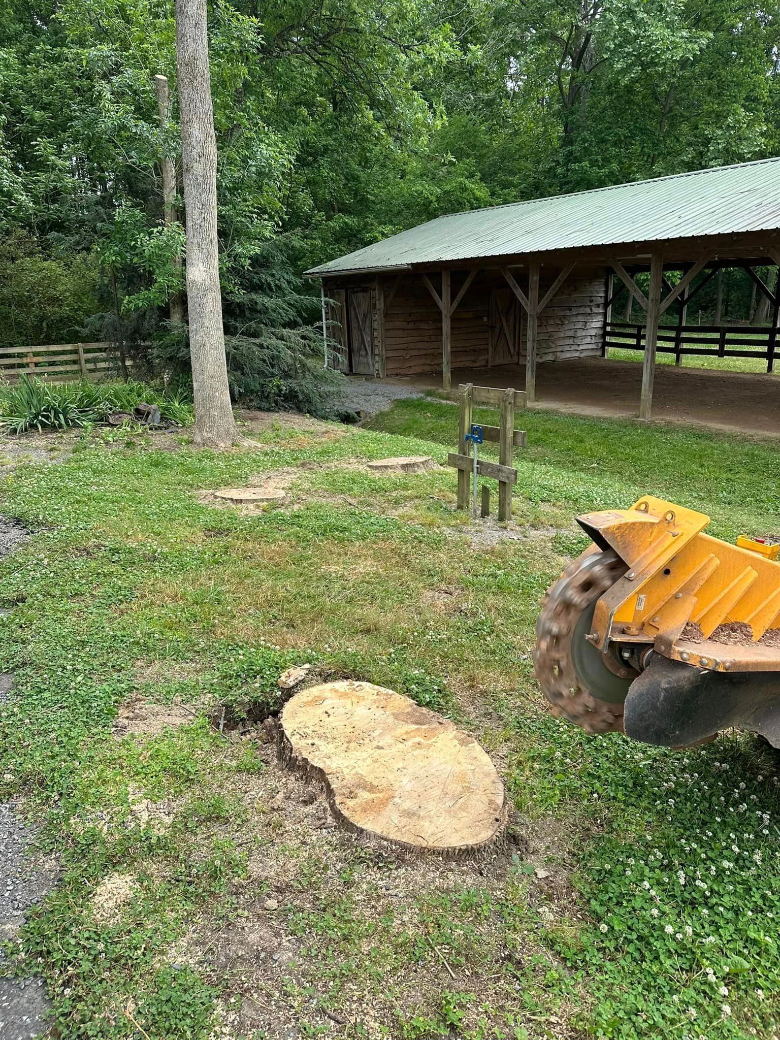 A stump grinder is sitting next to a tree stump in the grass.