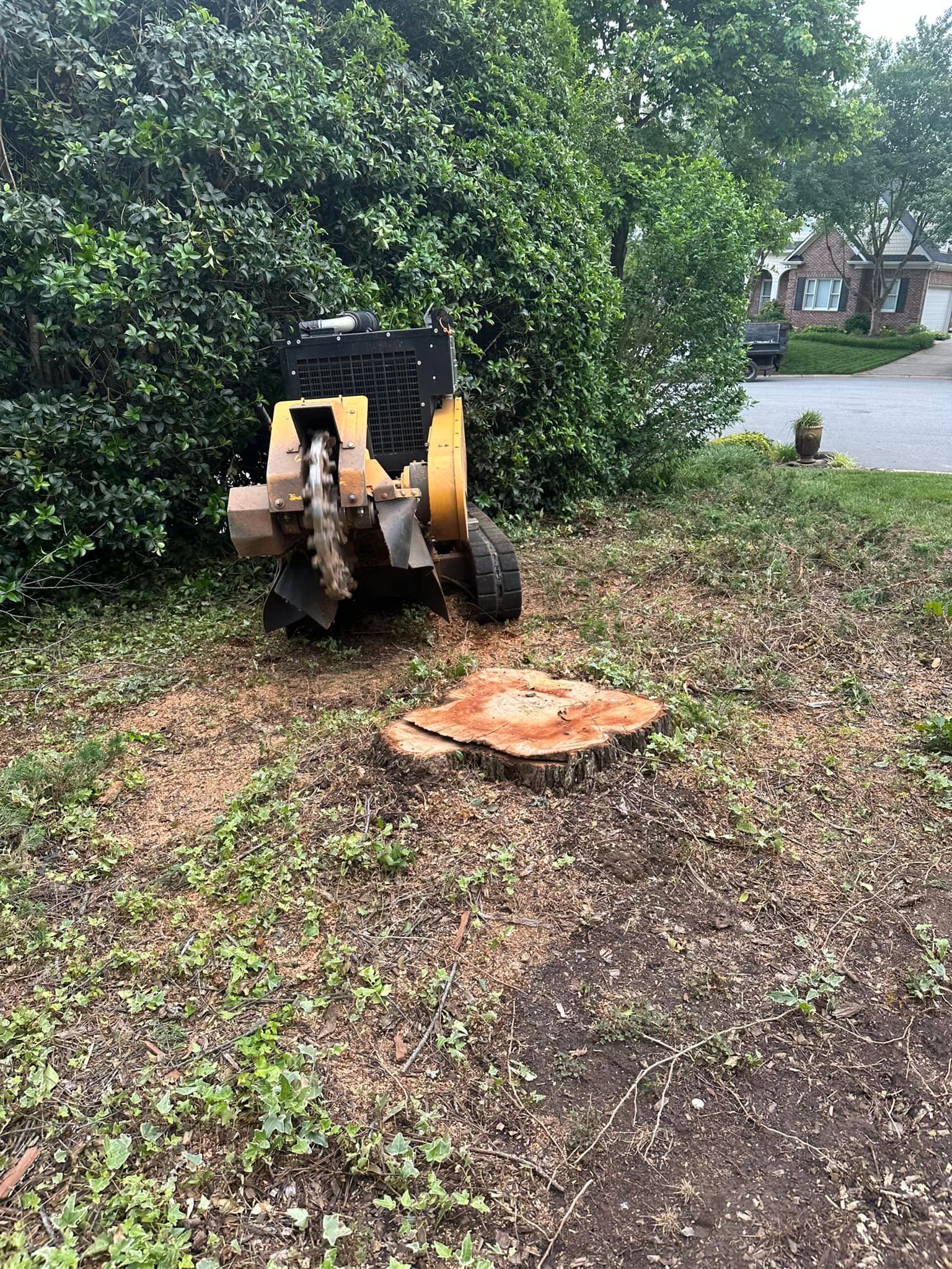 A stump grinder is sitting next to a tree stump in a yard.