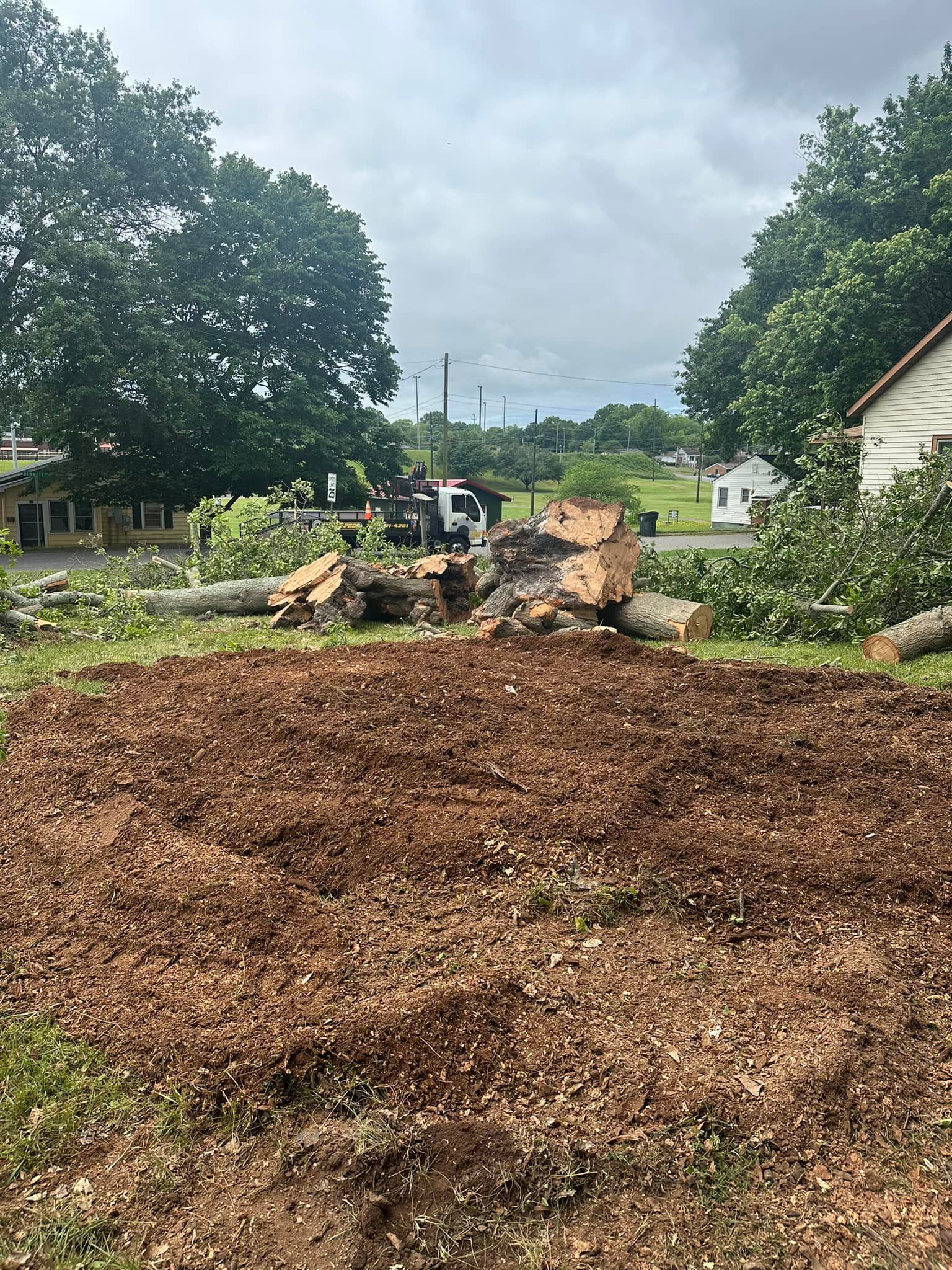 A large tree stump is sitting in the middle of a field next to a house.