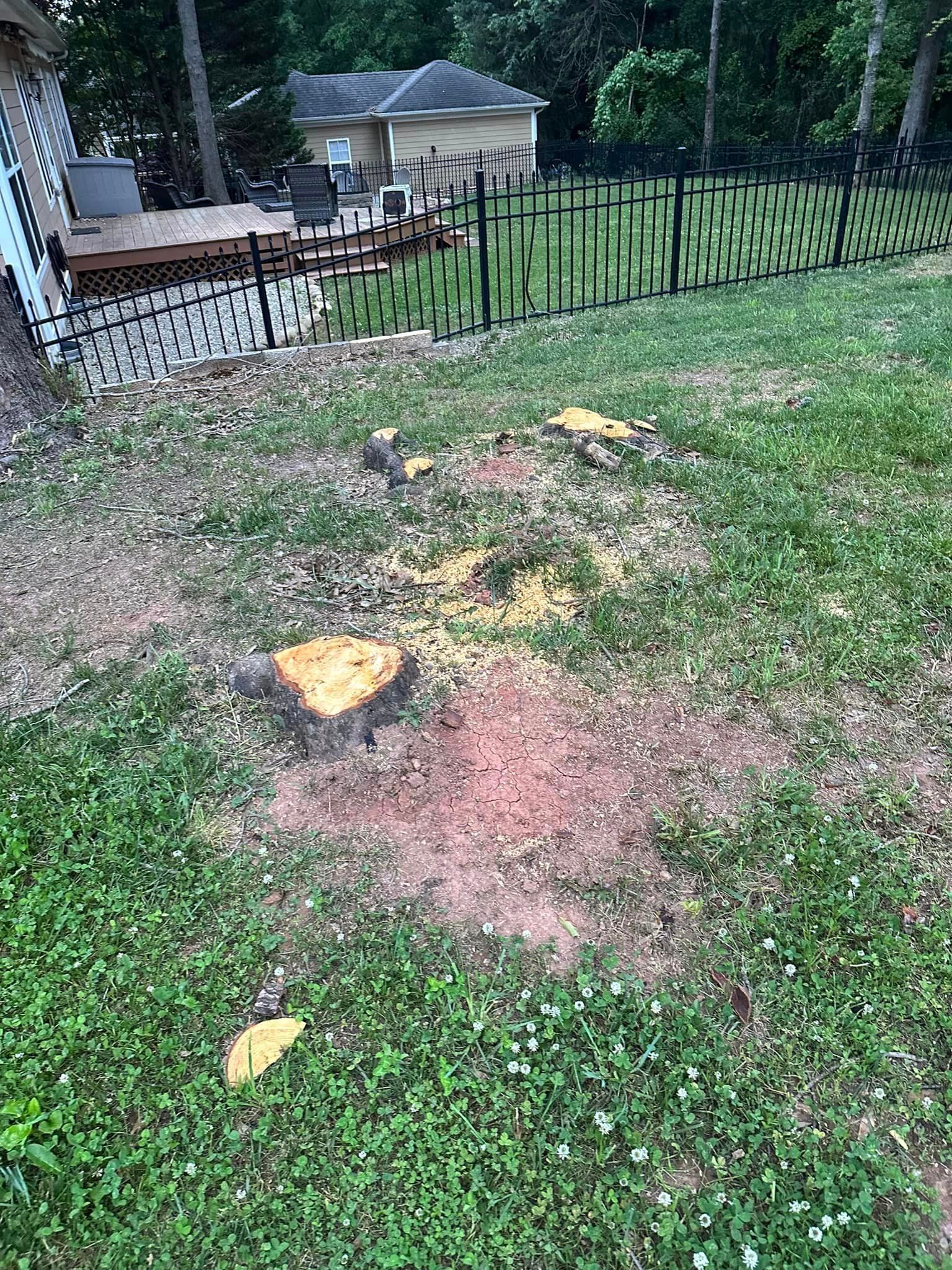 A tree stump in the middle of a yard next to a fence.