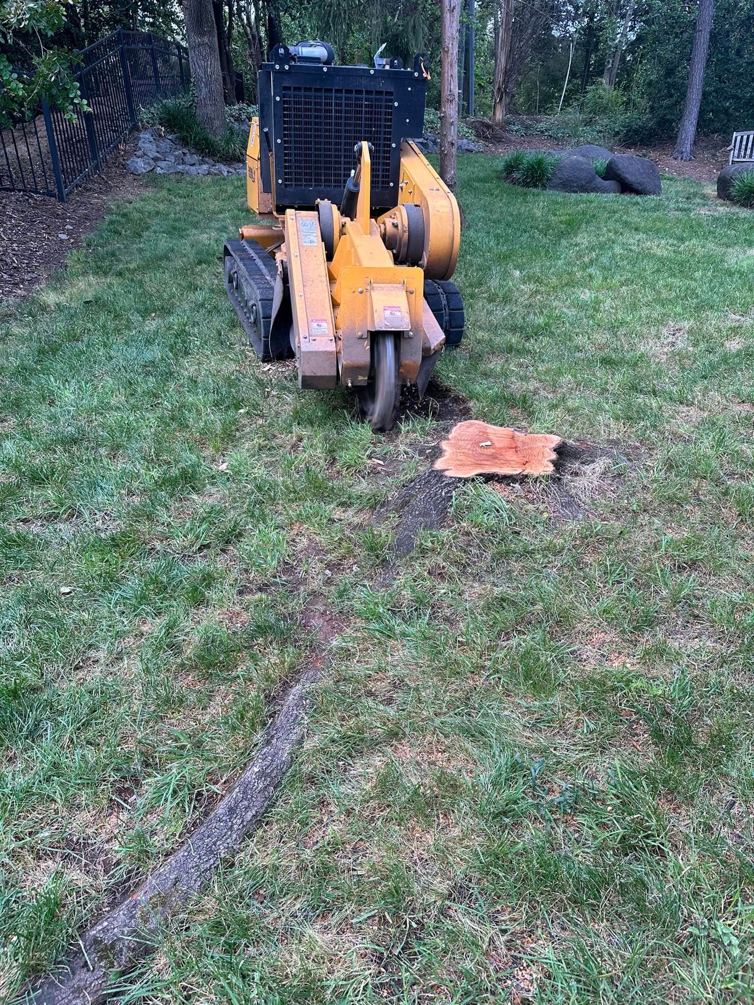 A yellow tractor is sitting in the grass next to a tree stump.