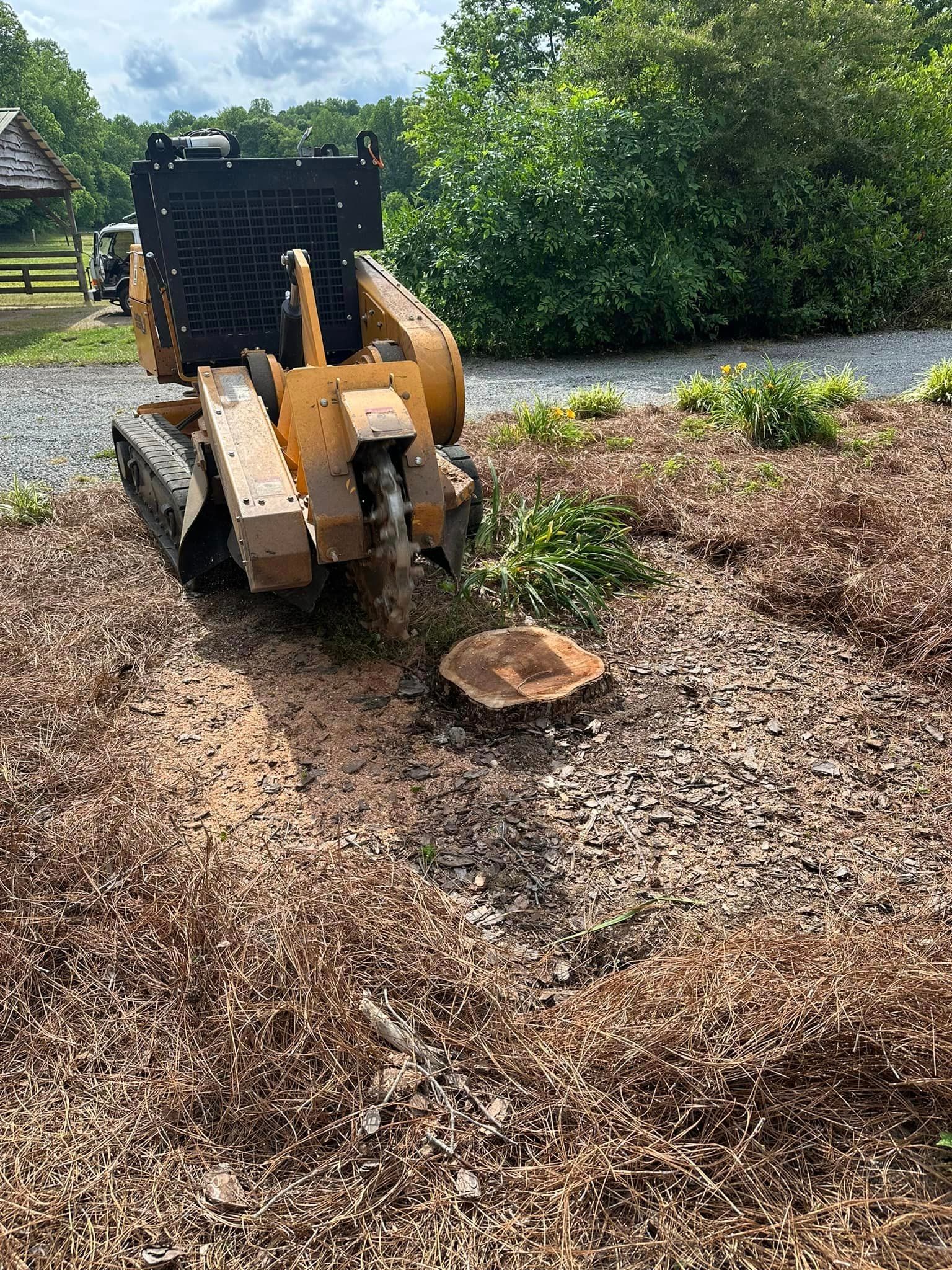 A stump grinder is sitting on top of a pile of mulch next to a tree stump.