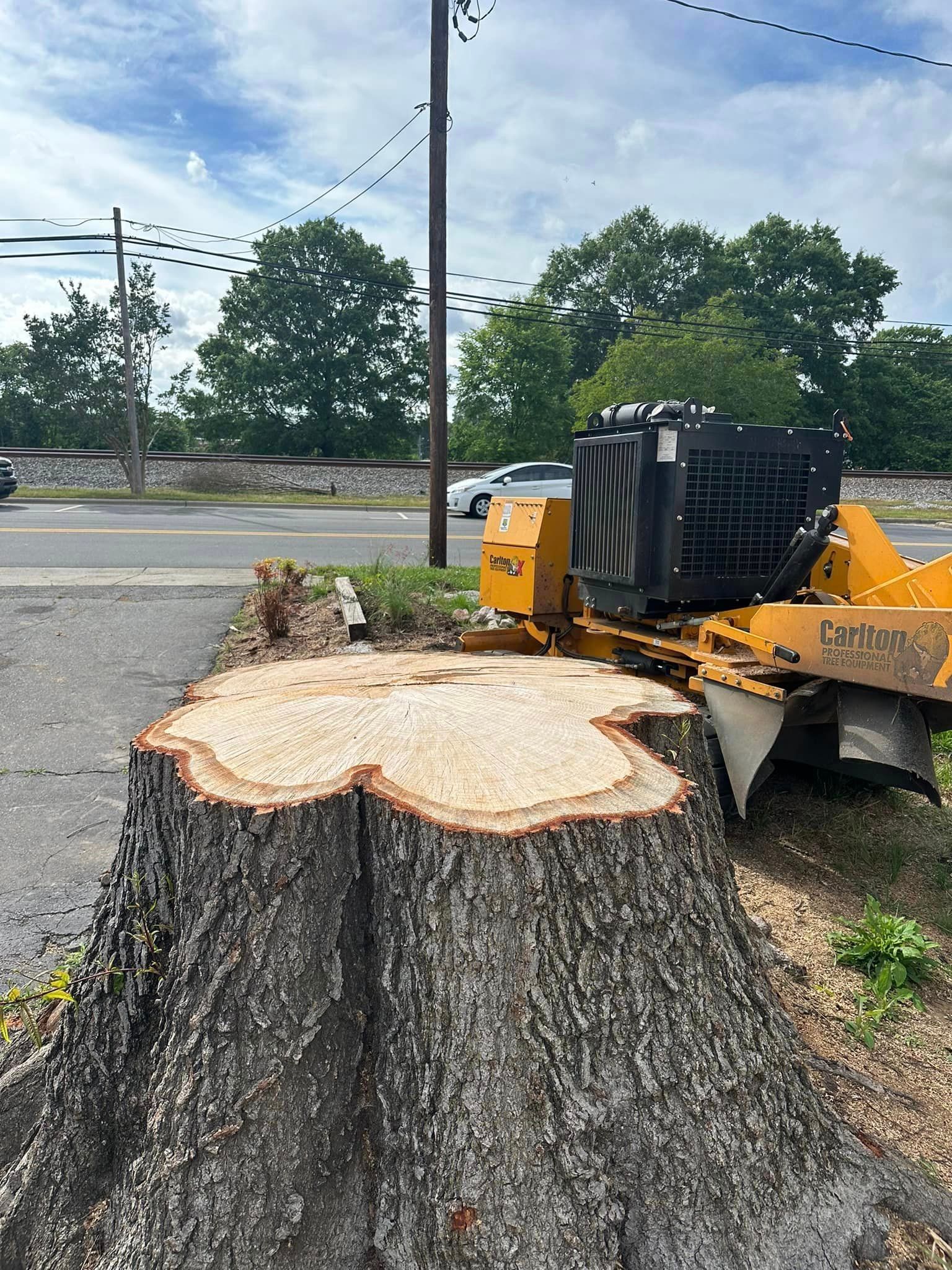 A large tree stump is being removed by a machine.