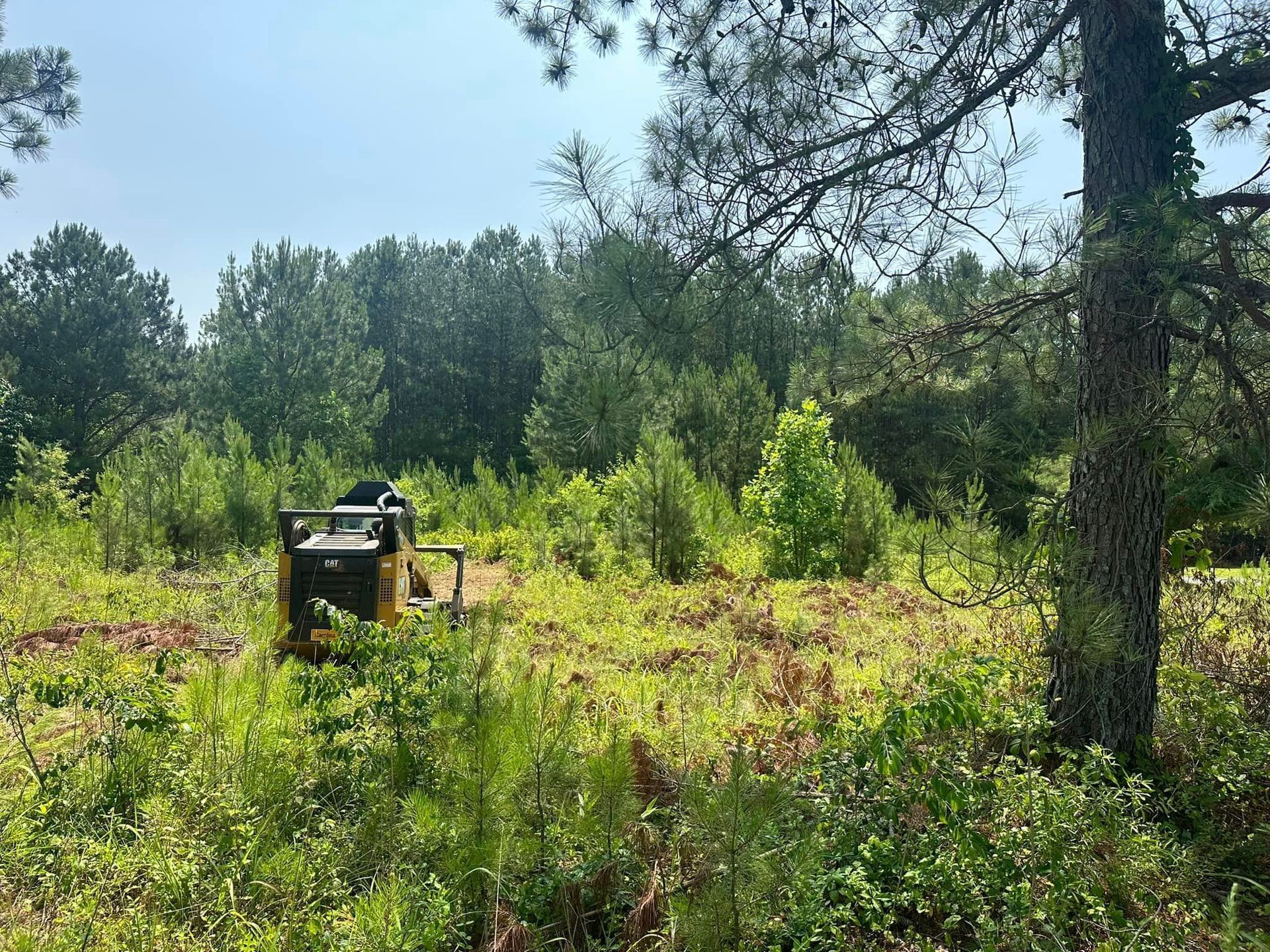 A bulldozer is sitting in the middle of a field surrounded by trees.