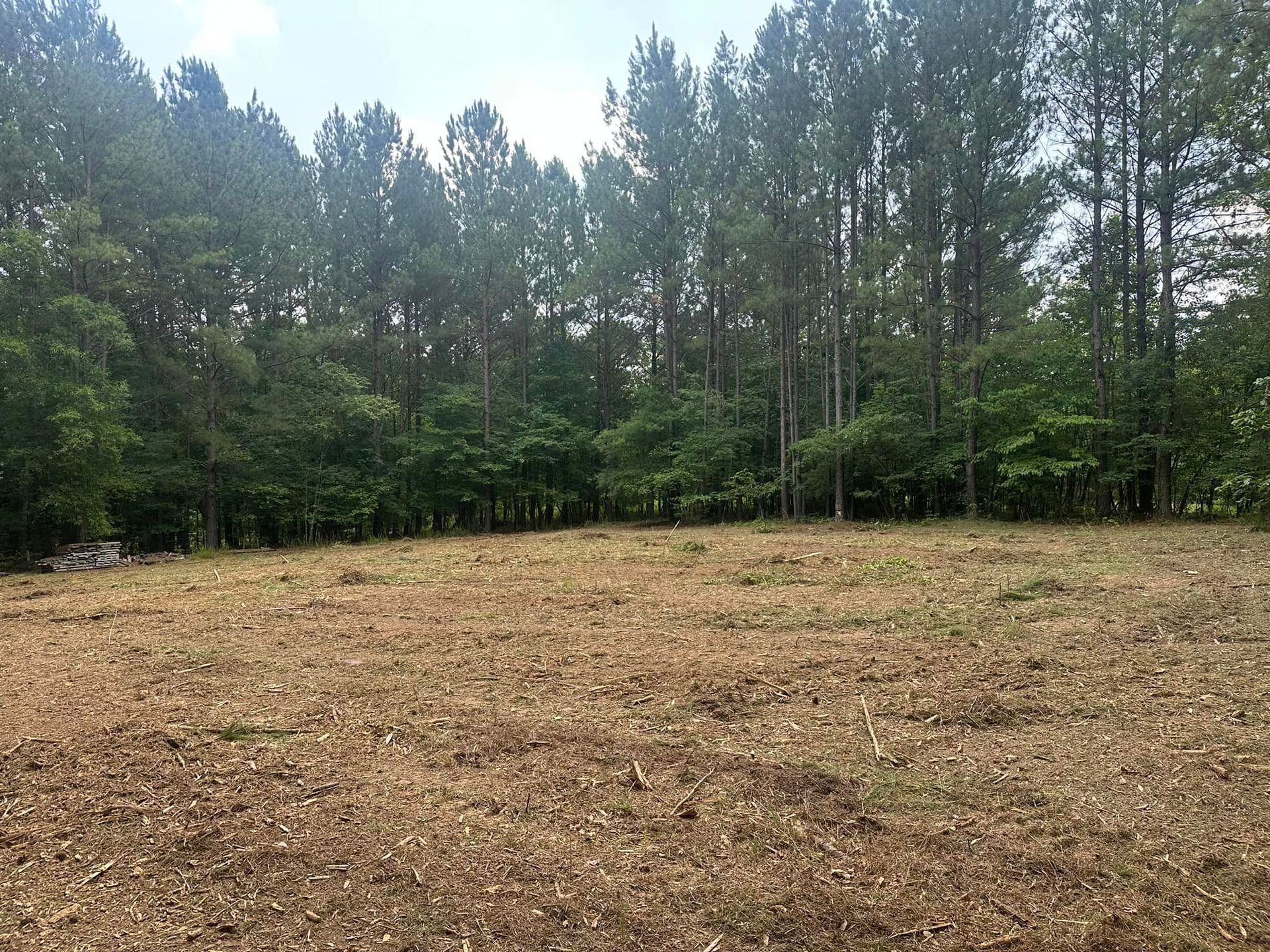 A field with trees in the background and a lot of leaves on the ground.