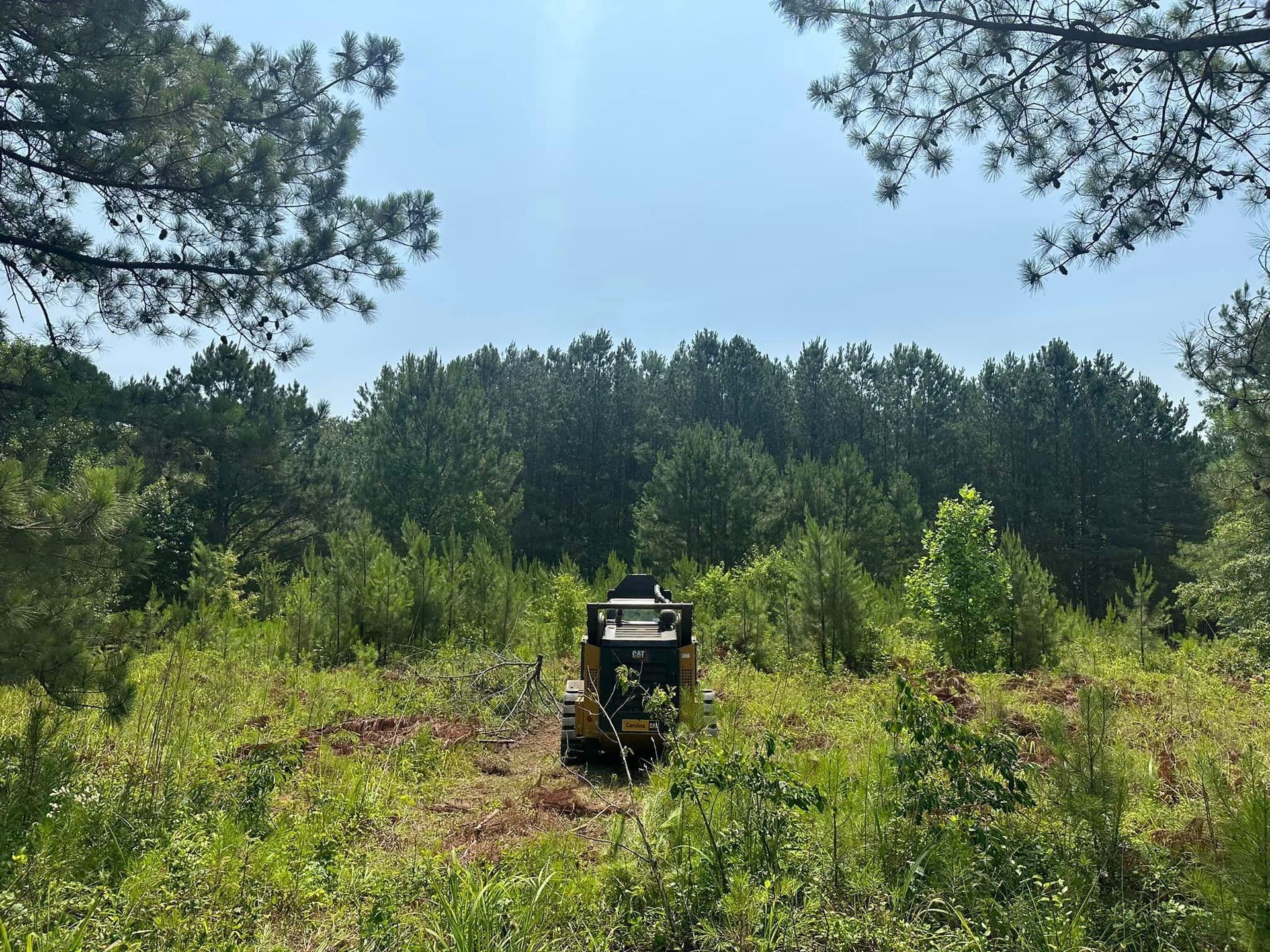A bulldozer is driving through a lush green forest.
