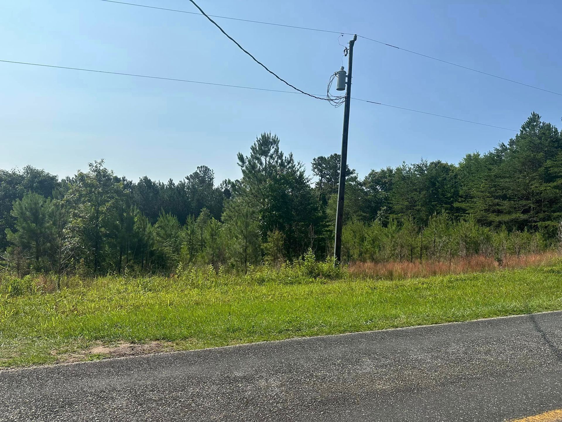 A telephone pole is in the middle of a grassy field next to a road.