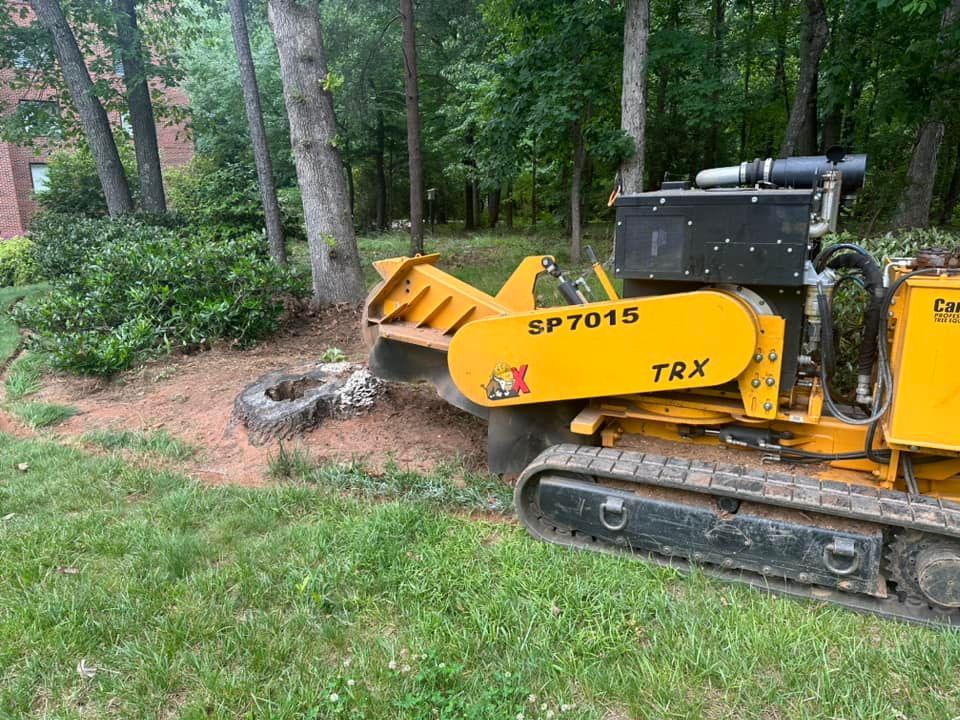 A yellow stump grinder is cutting a tree in a yard.