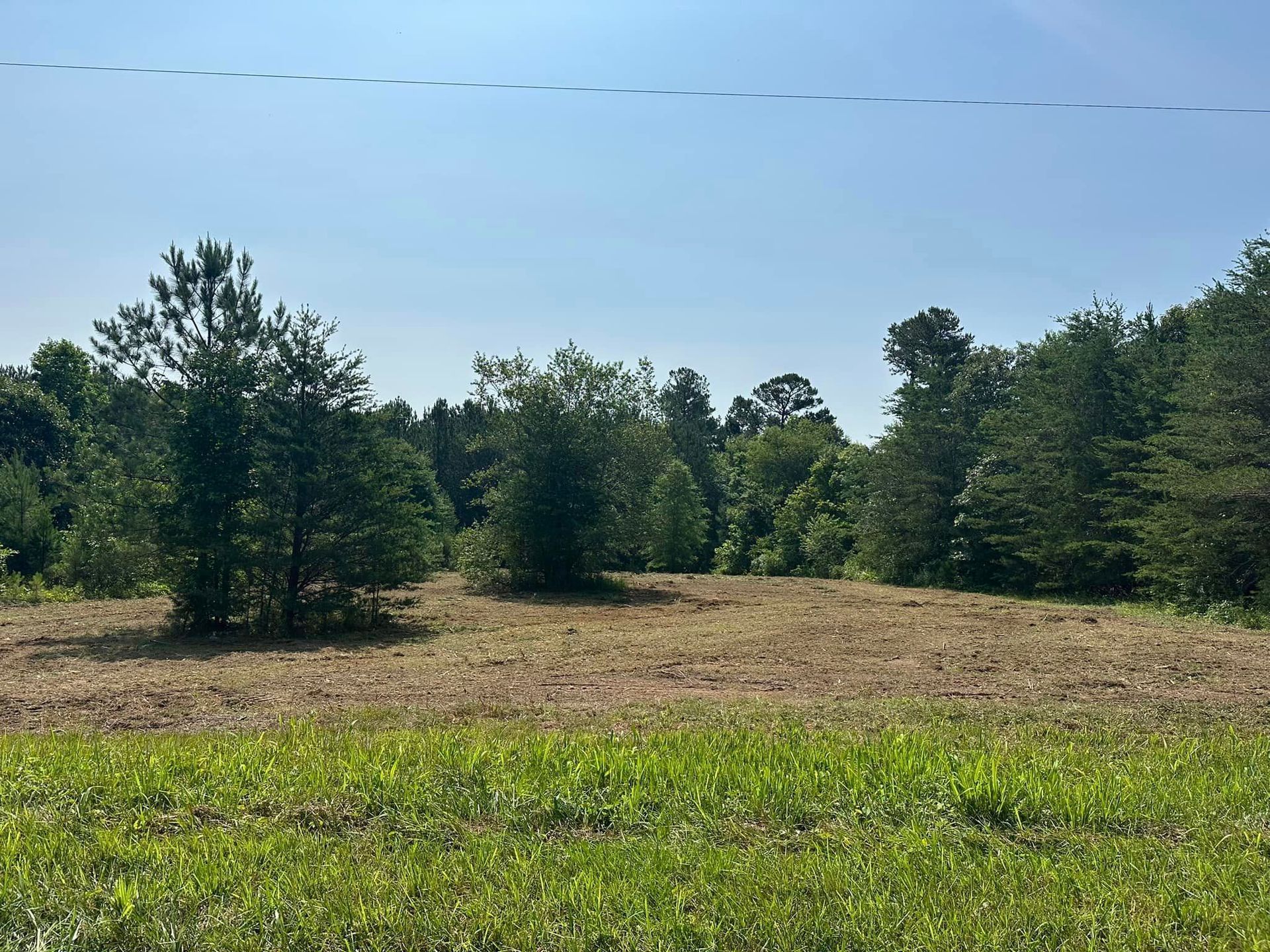 A field with trees in the background and a blue sky