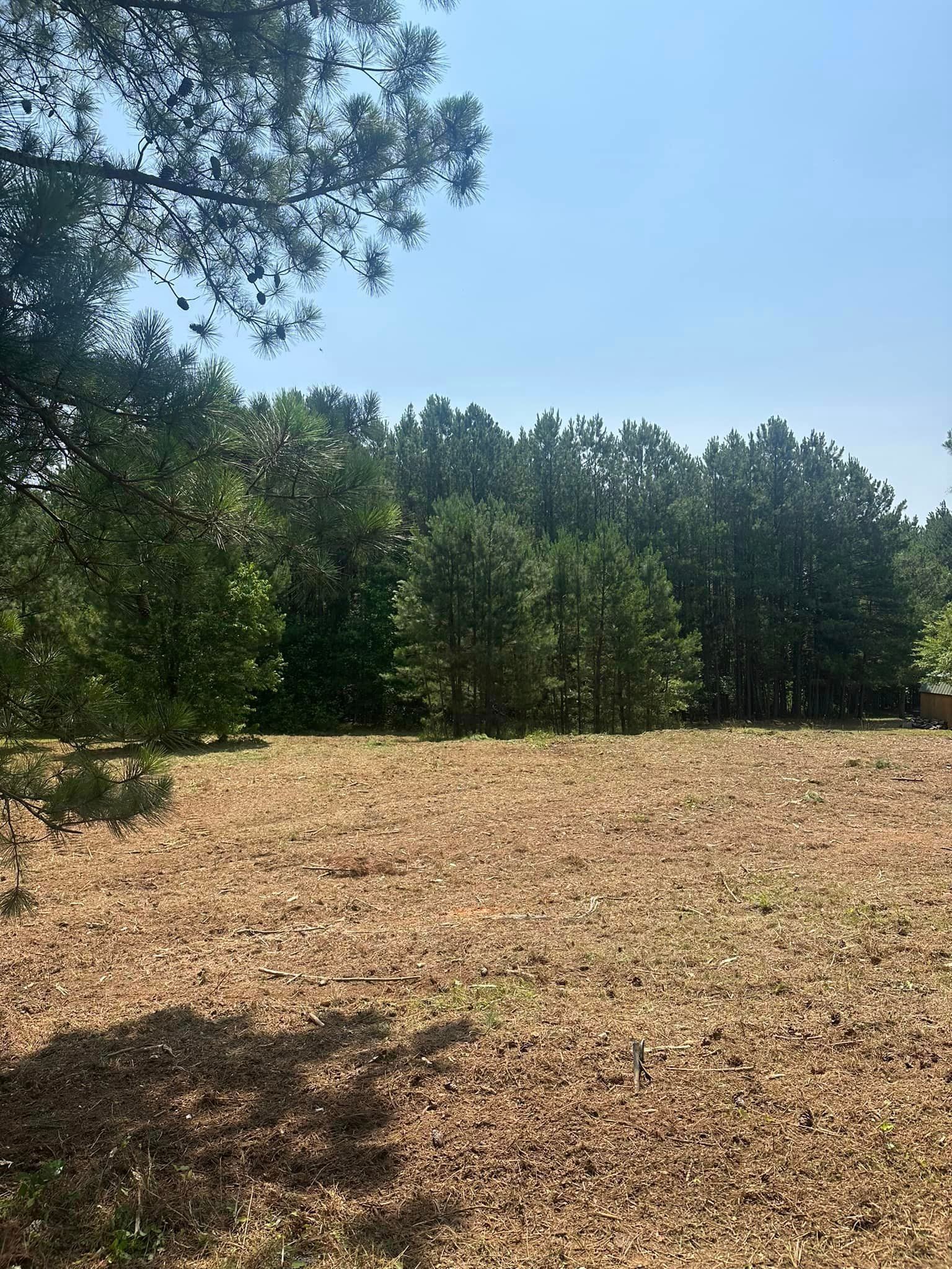 A large field with trees in the background on a sunny day.