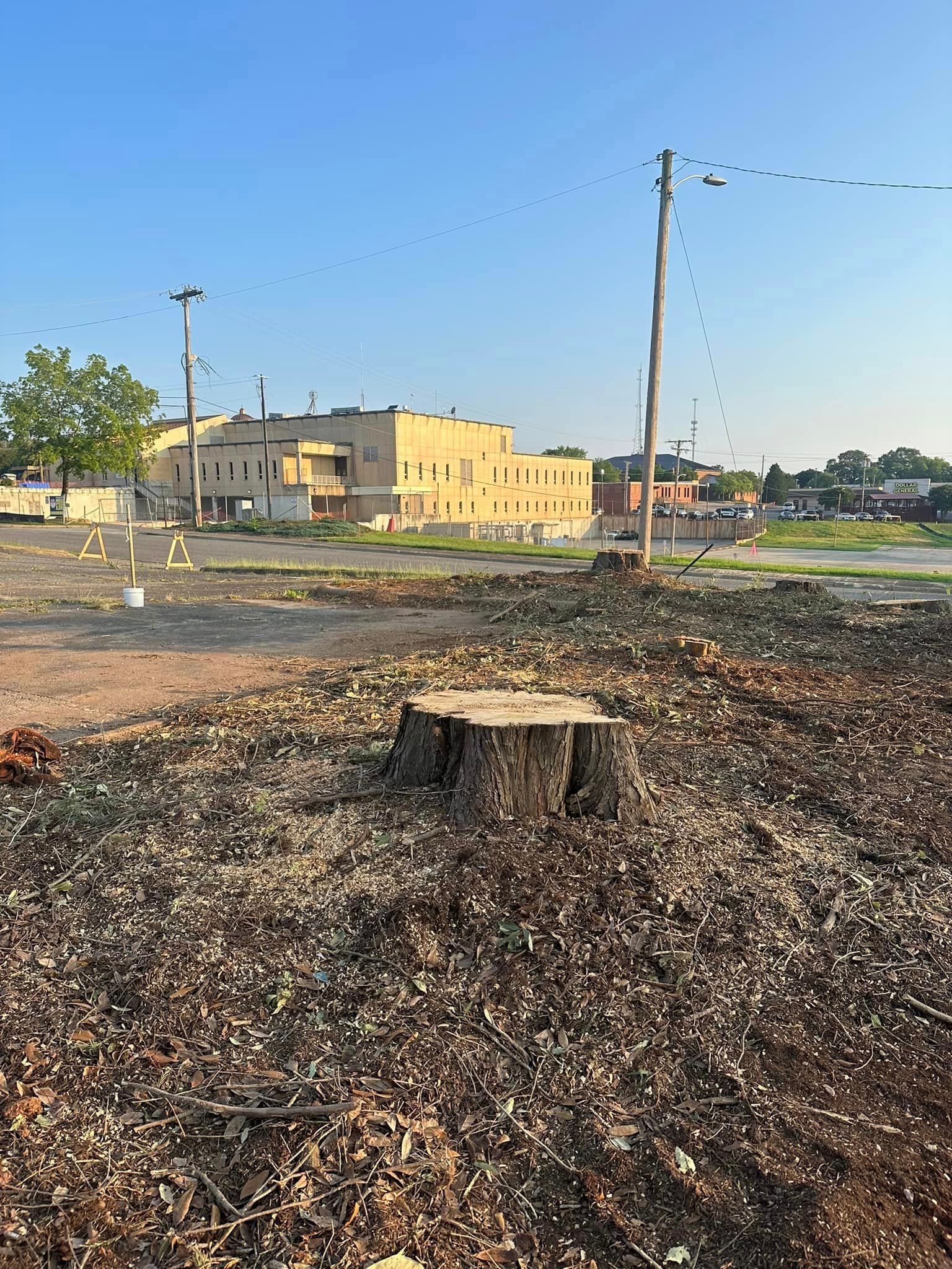 A tree stump in the middle of a field with a building in the background.