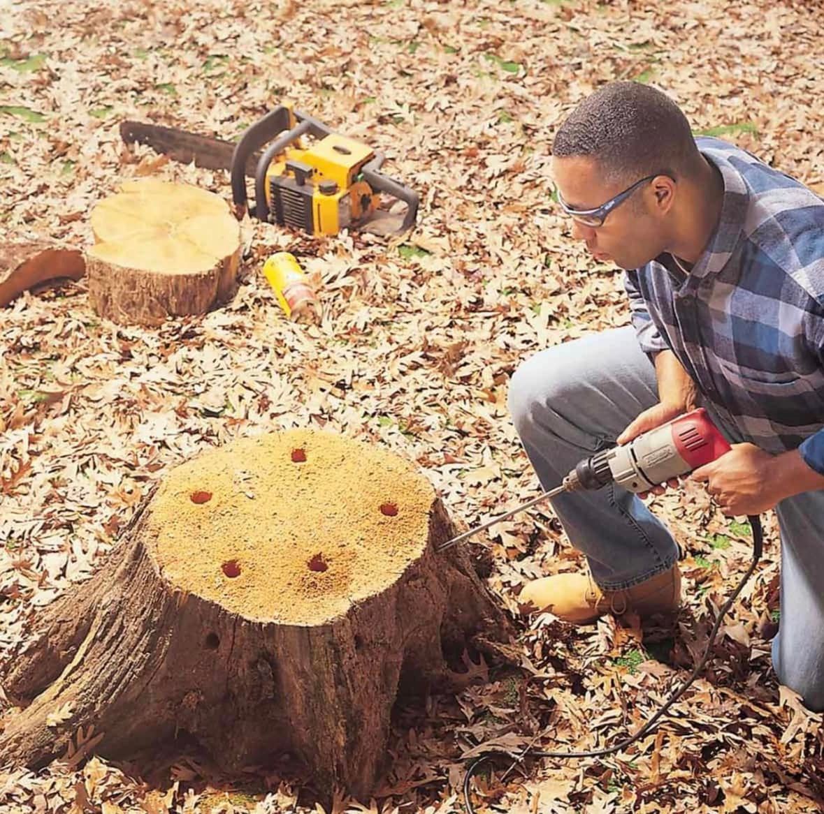 A man is using a drill to remove a tree stump