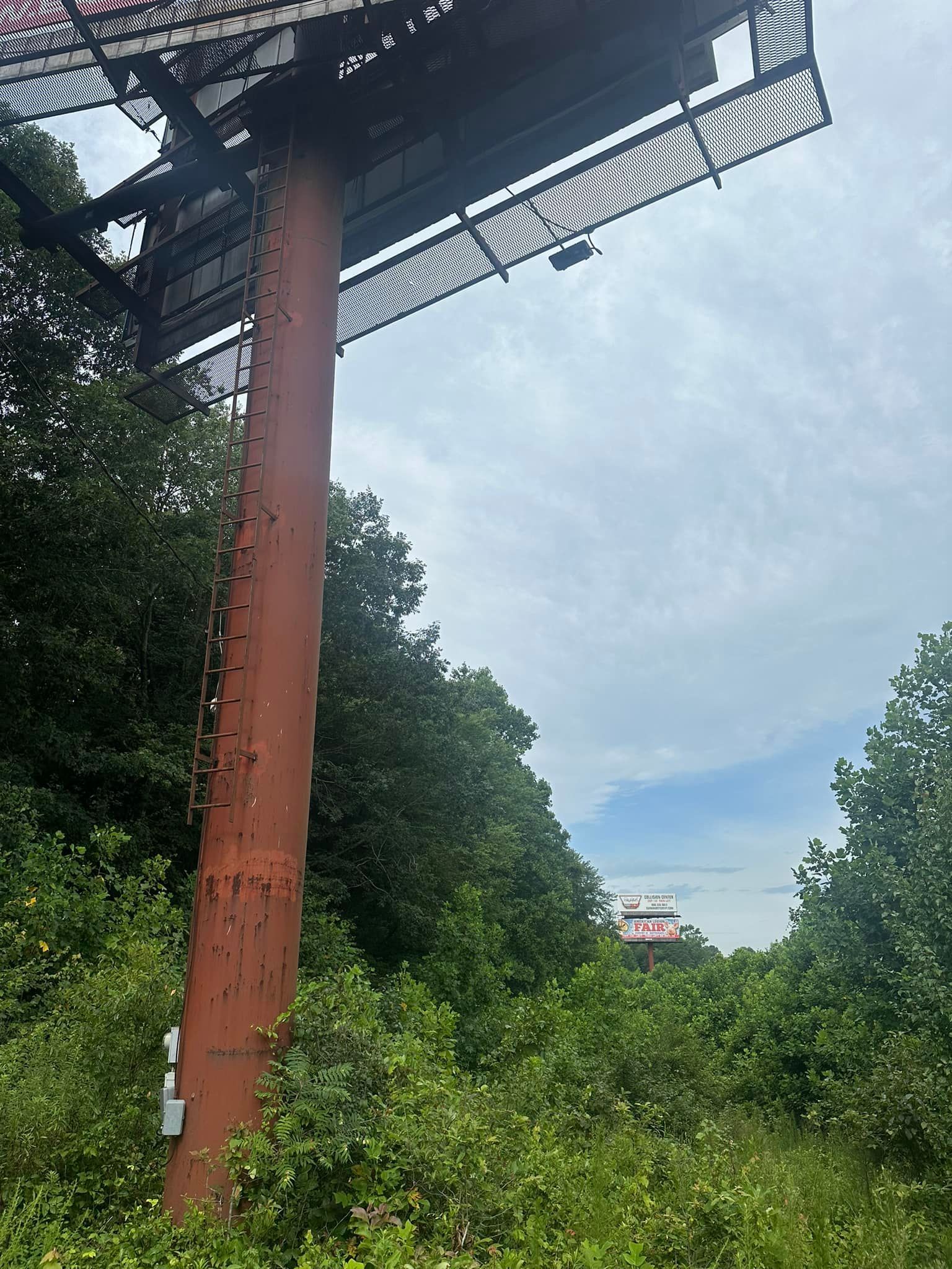 A large billboard is sitting in the middle of a forest.