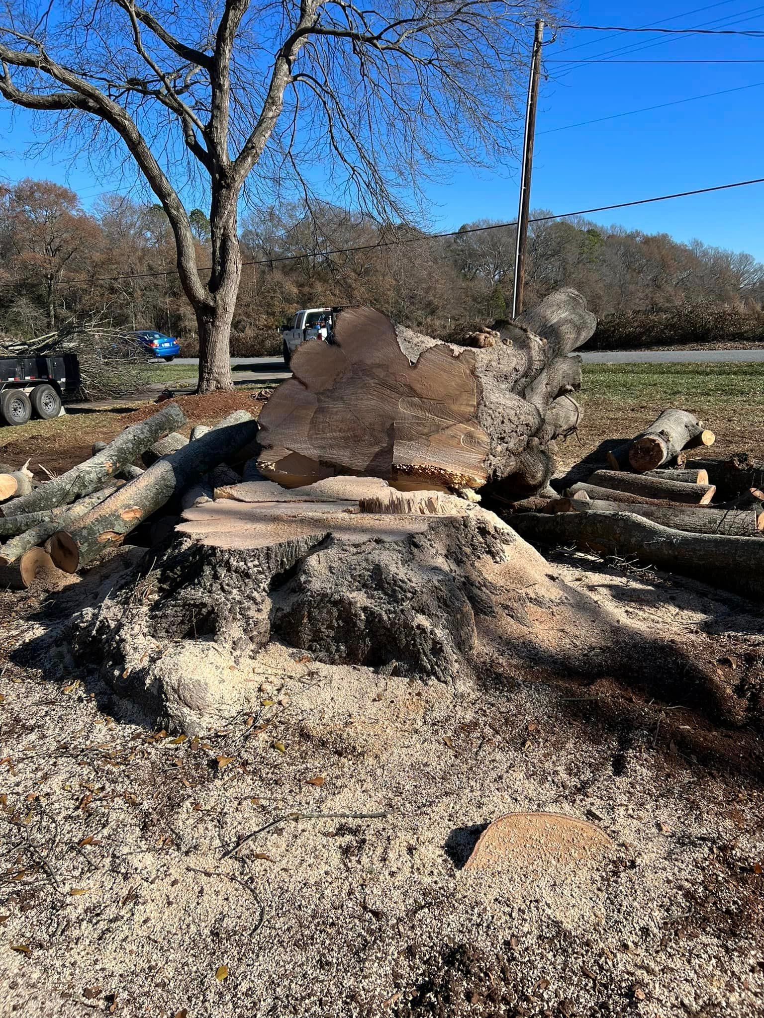 A large tree stump is sitting on top of a pile of logs.