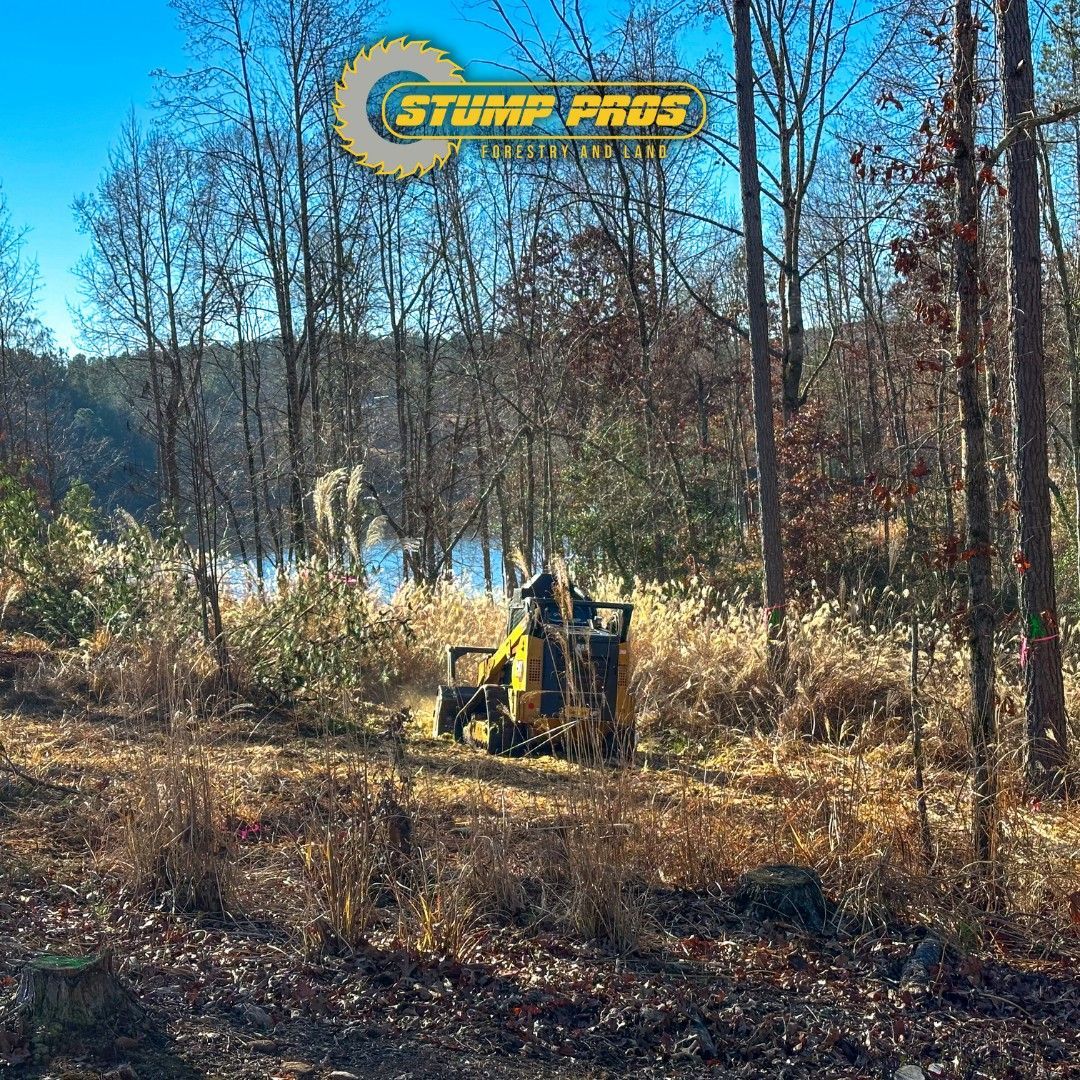 A stump grinder is cutting a tree in the middle of a forest.