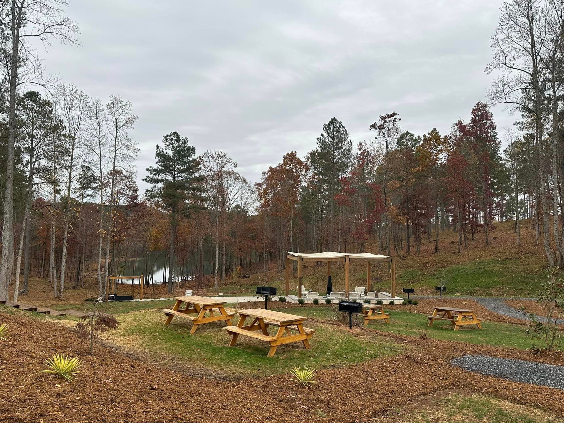 A group of picnic tables are sitting in a field in the middle of a forest.
