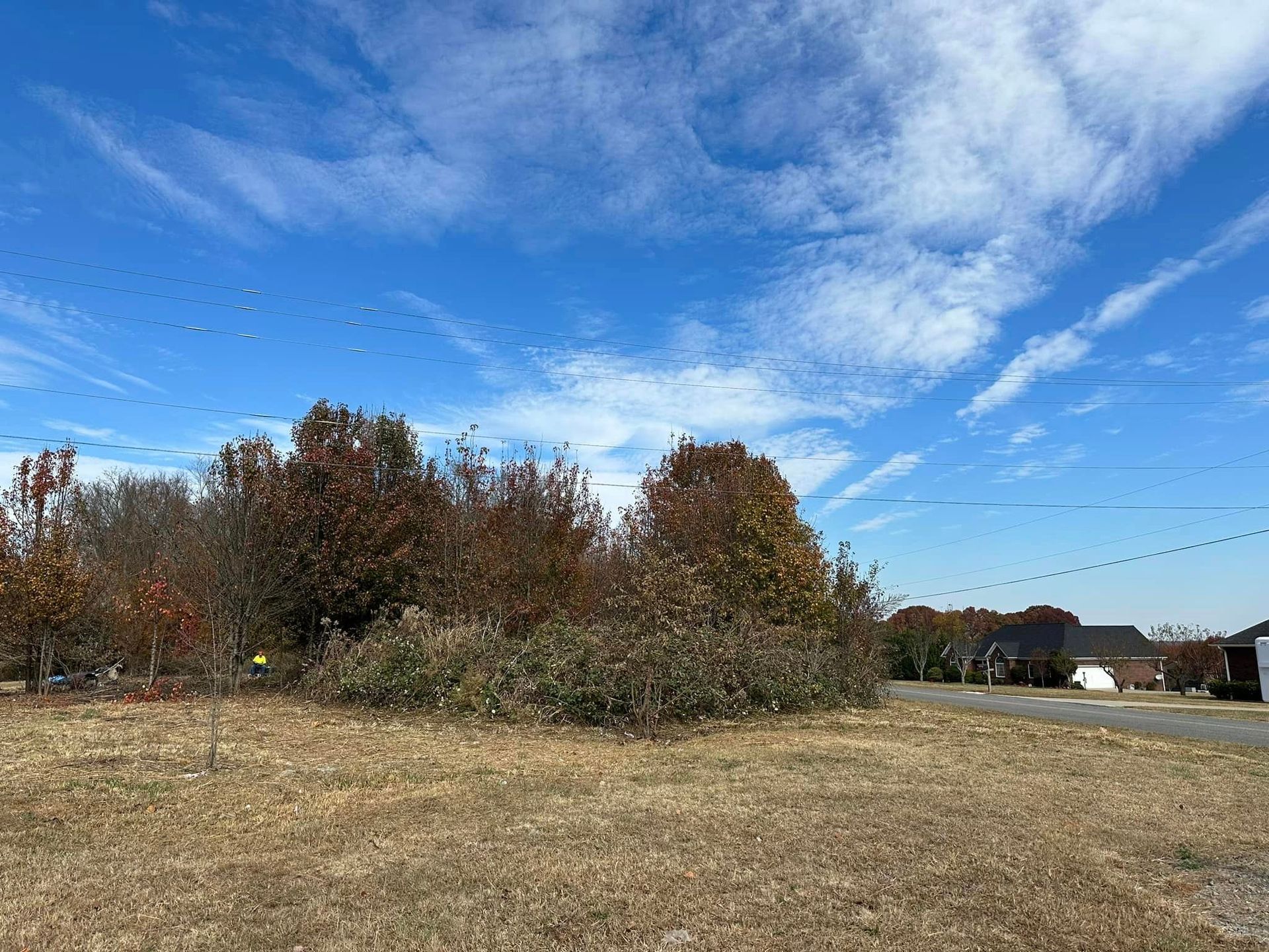 A field with trees and a house in the background and a blue sky with clouds.