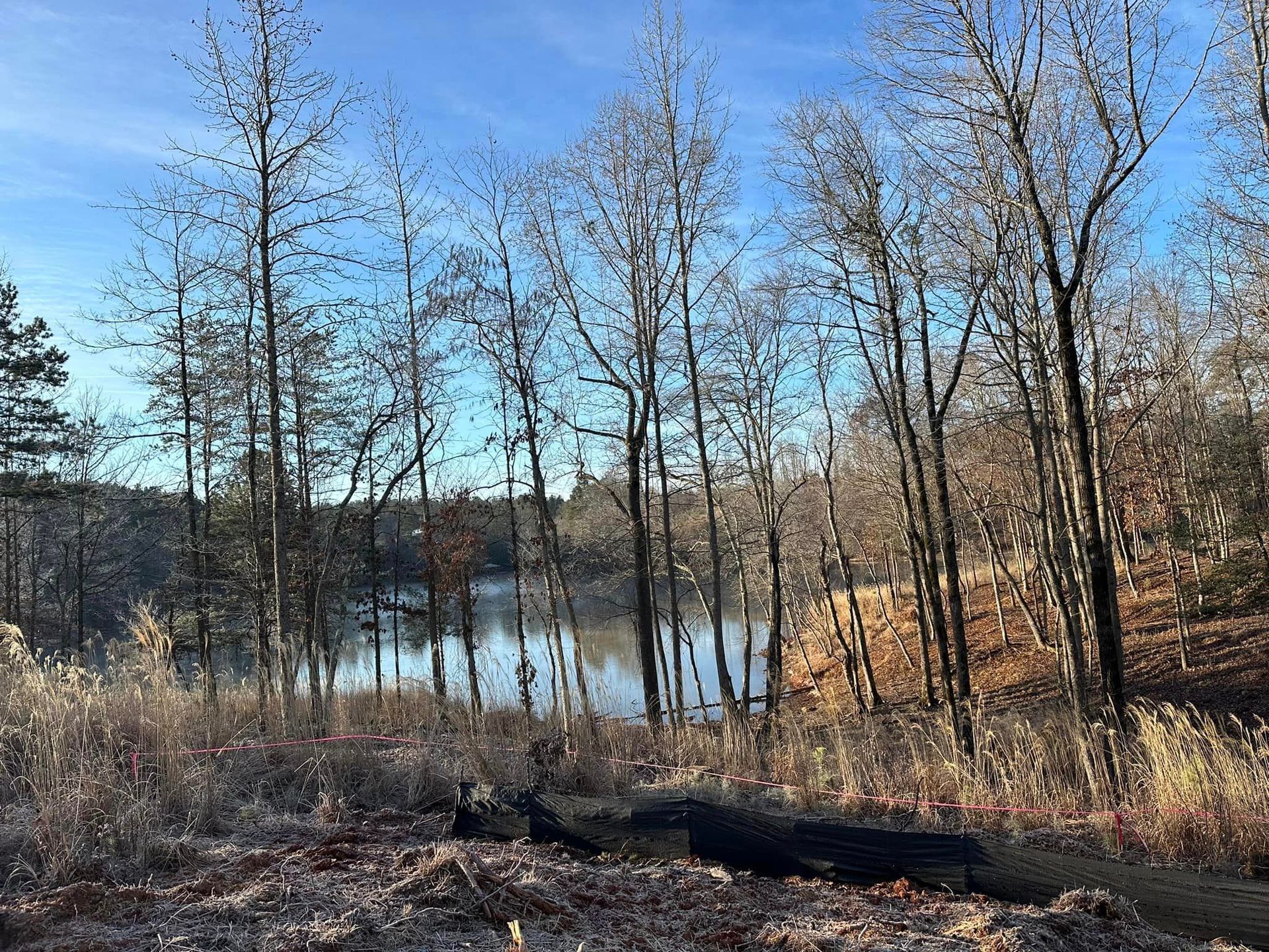 A lake surrounded by trees on a sunny day