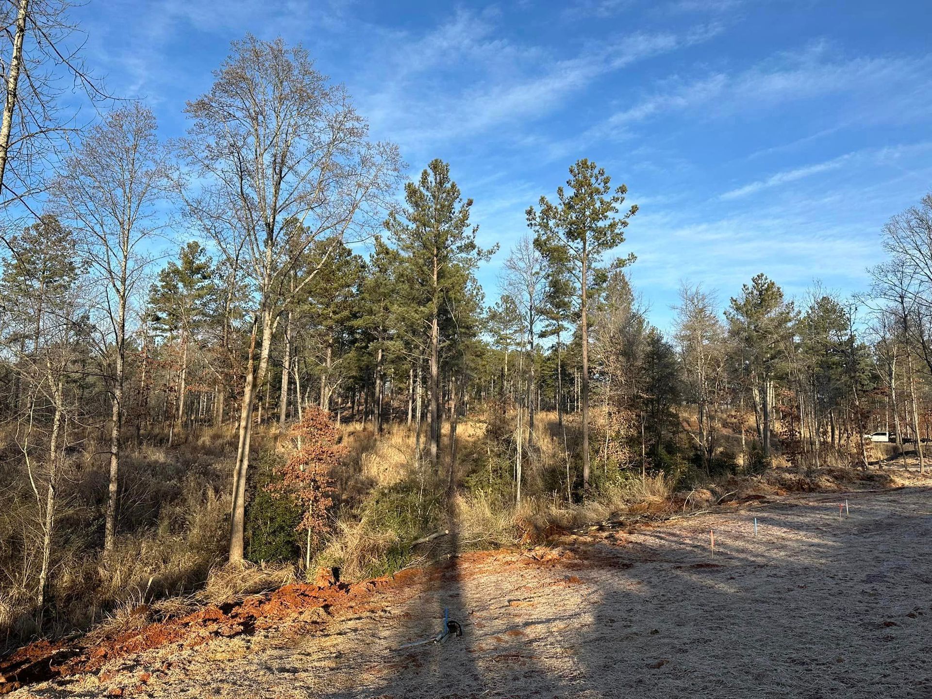 A shadow of a person is cast on a gravel road in the middle of a forest.