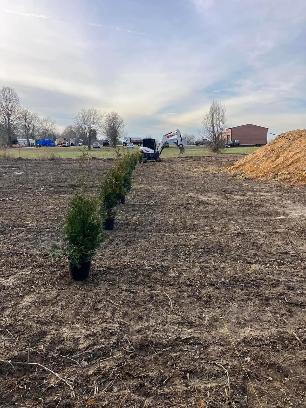 A row of potted plants sitting on top of a dirt field.