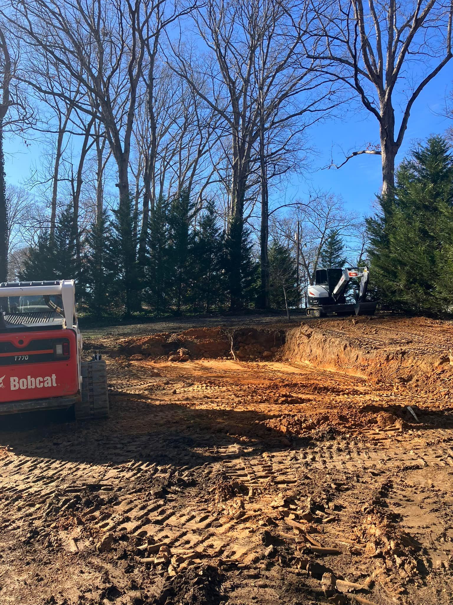 A bobcat is driving down a dirt road next to trees.