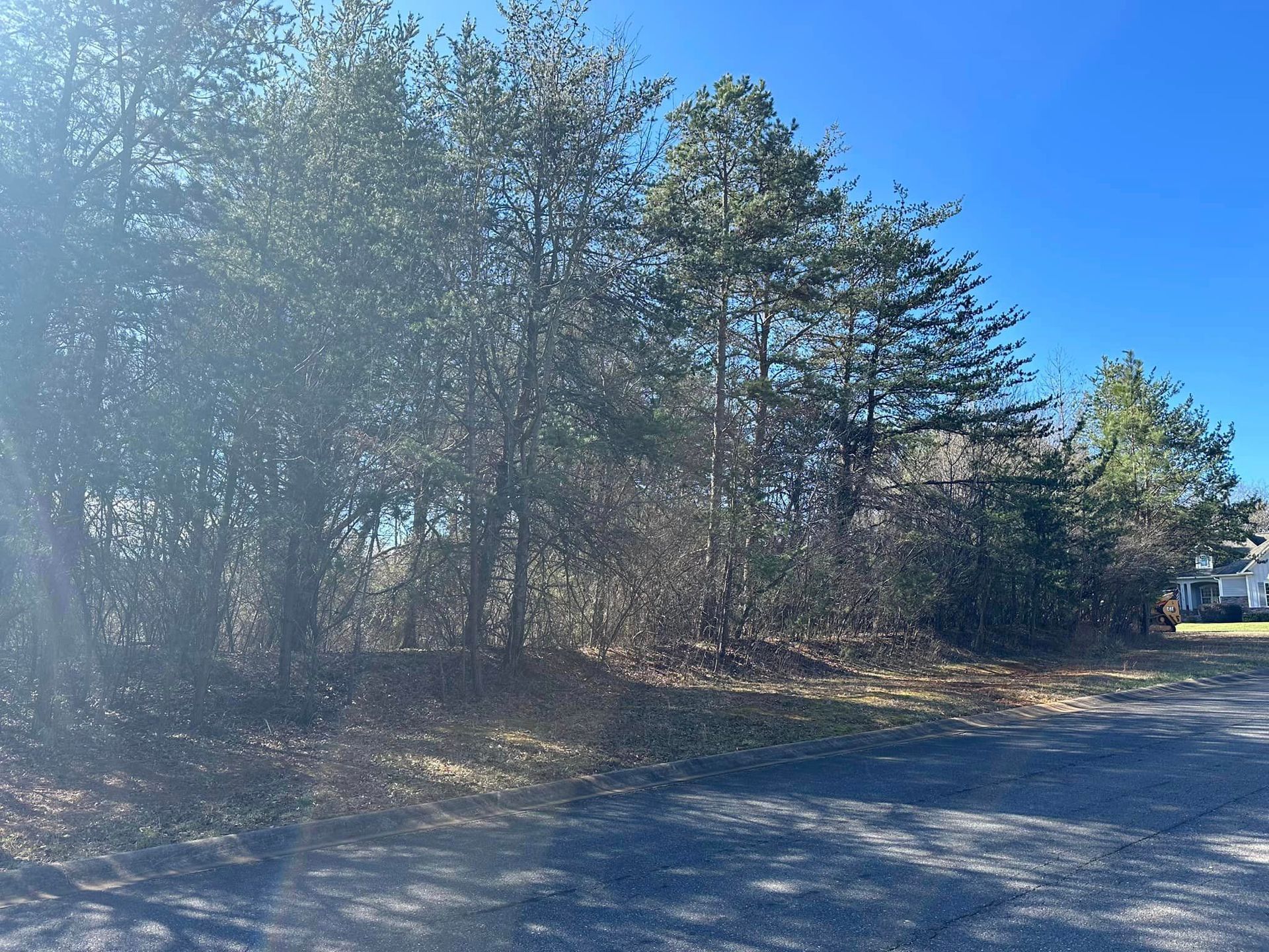 There is a house in the background and a lot of trees in the foreground.