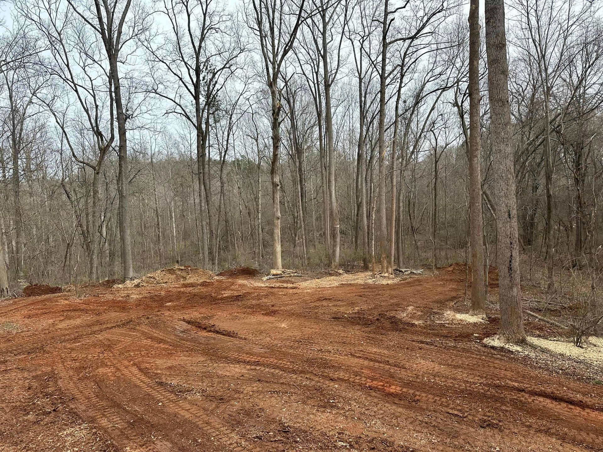 A dirt road in the middle of a forest with trees in the background.