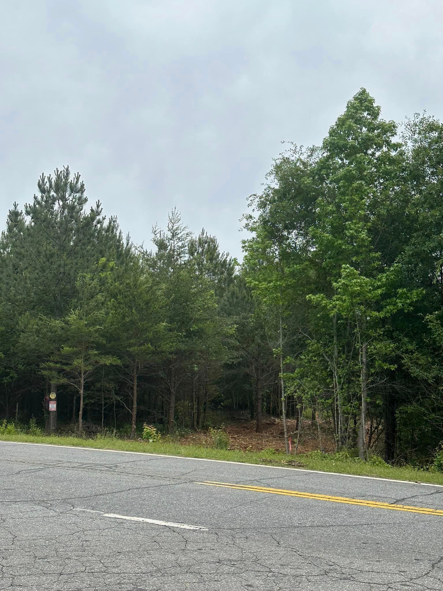 A road with a lot of trees on the side of it.