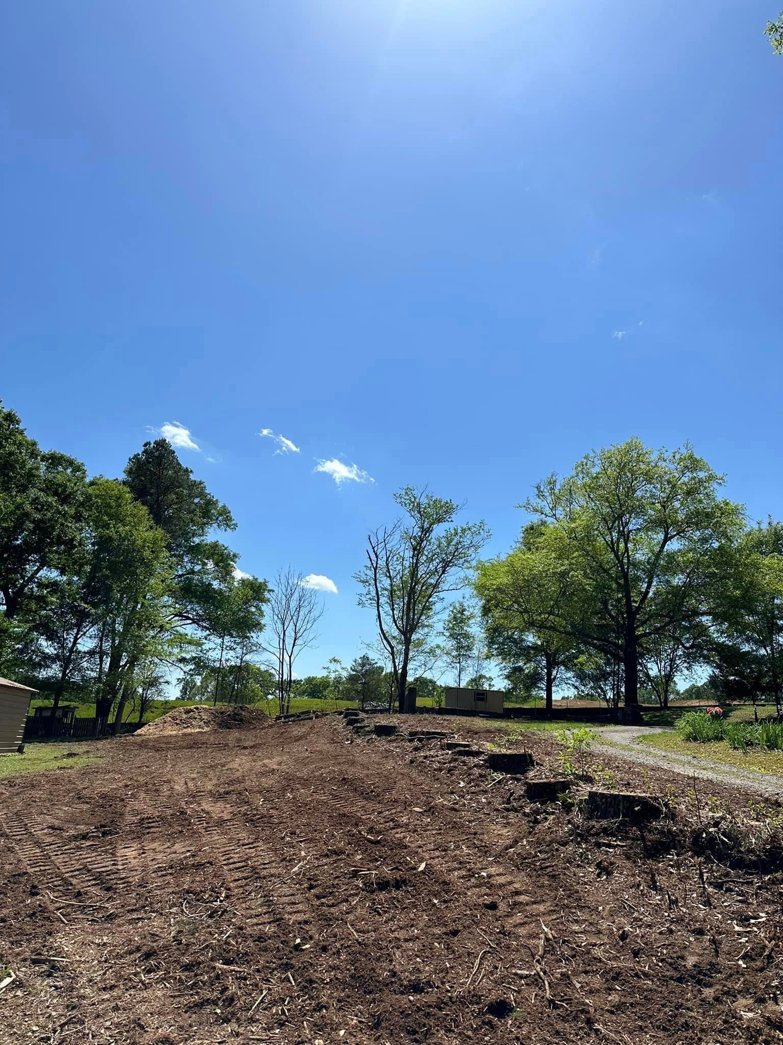 A field of dirt and trees with a blue sky in the background.