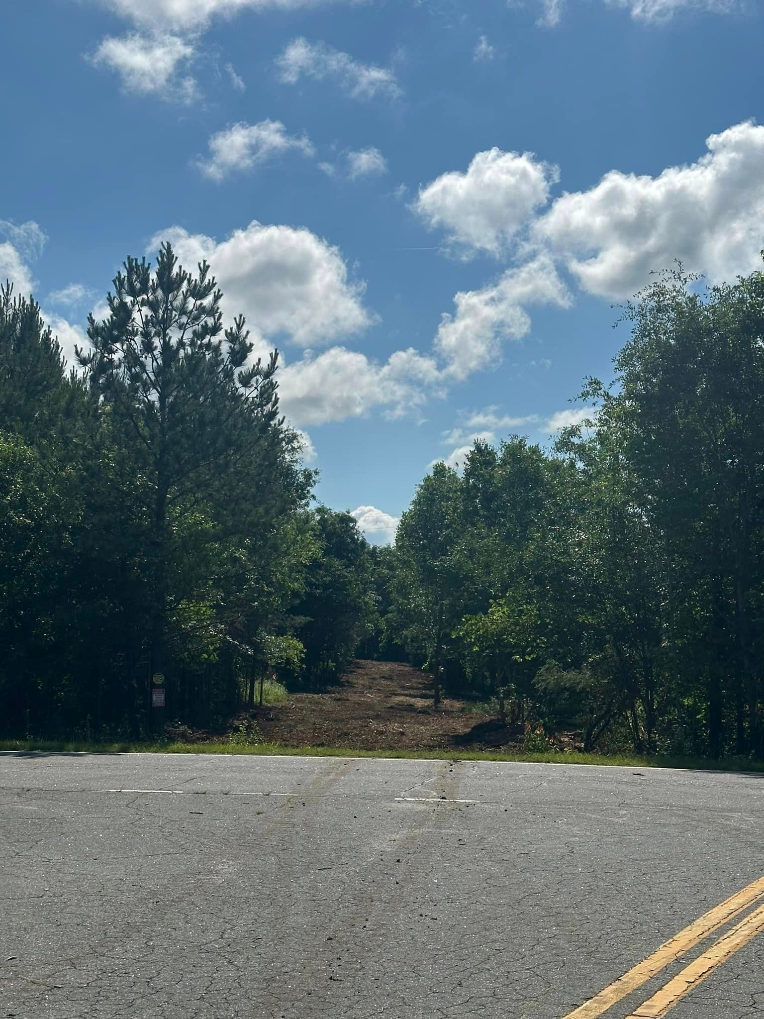 A road with a lot of trees on the side of it
