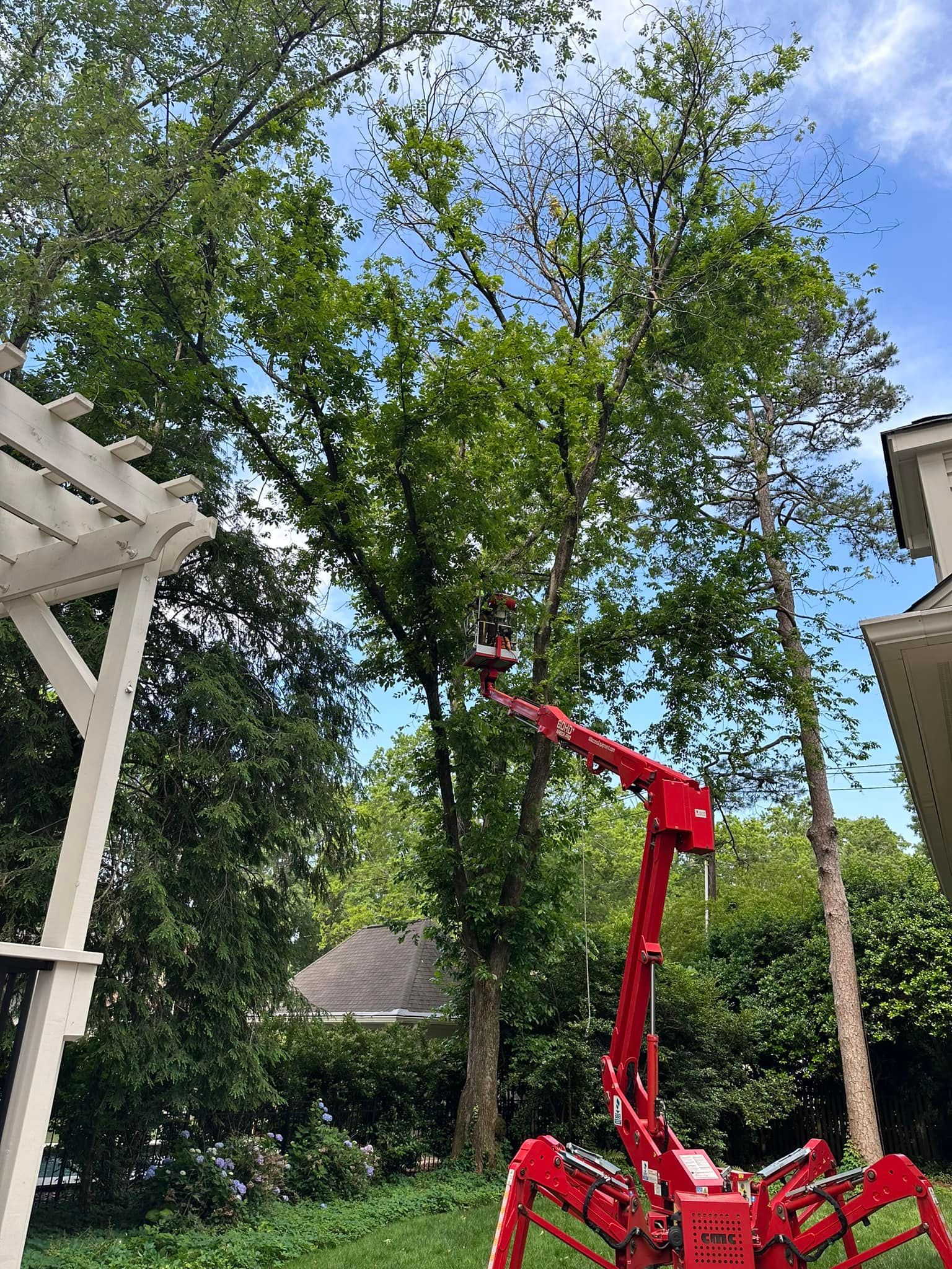 A red crane is cutting a tree in a backyard.