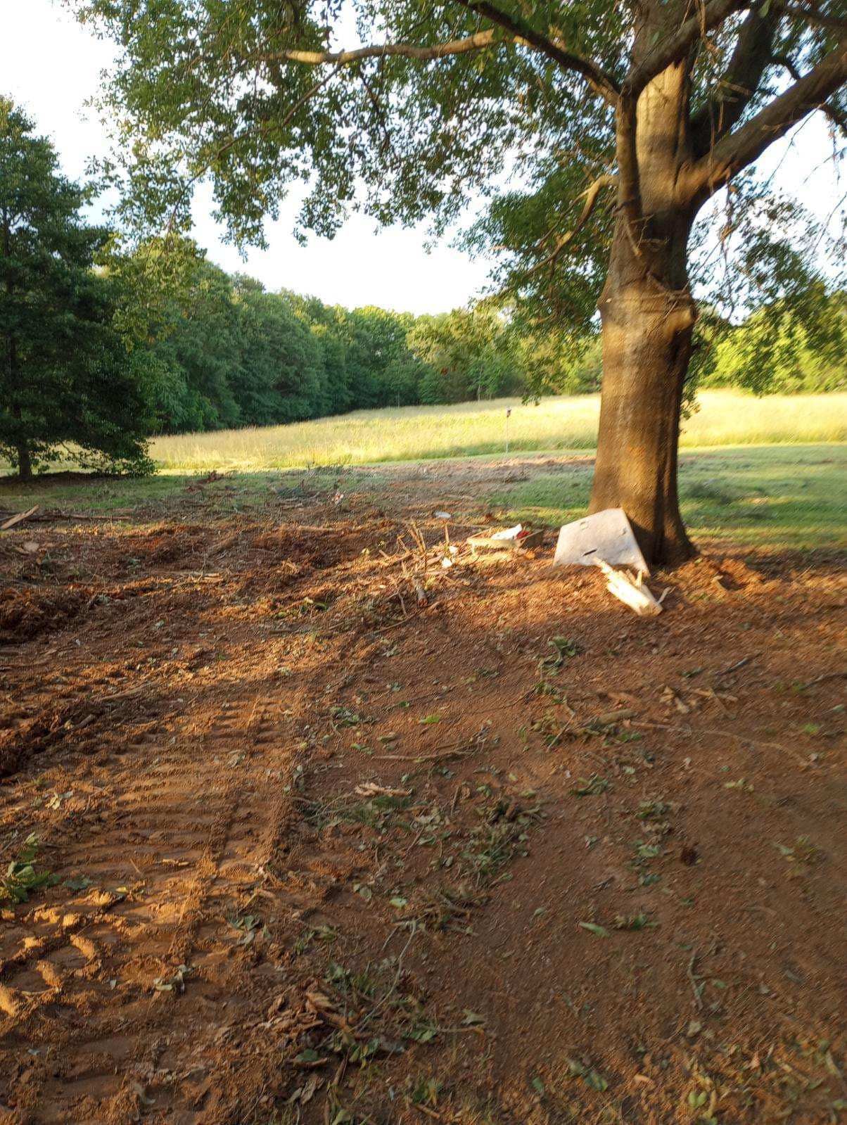 A horse is laying under a tree in a dirt field.