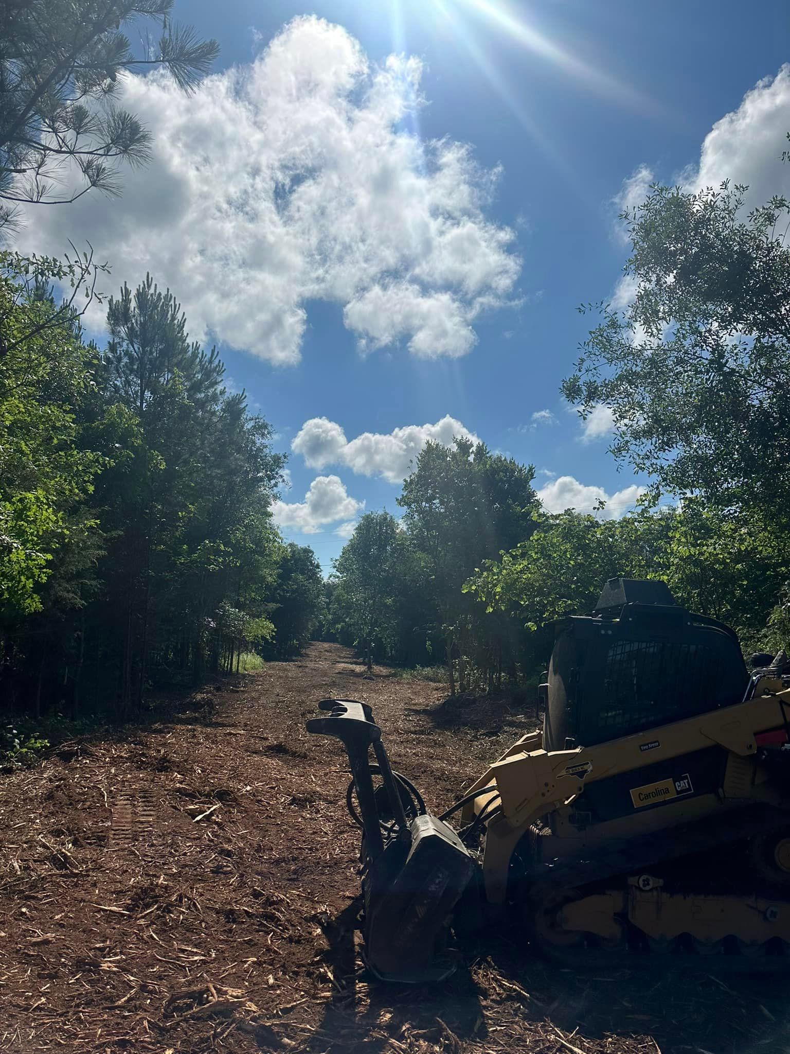A bulldozer is parked in the middle of a forest.