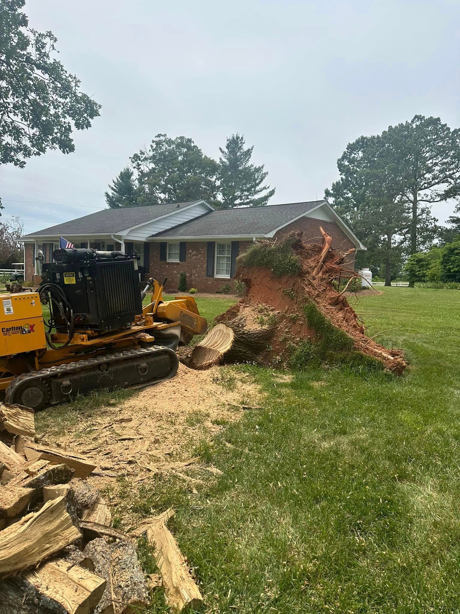 A stump grinder is cutting a tree stump in front of a house.
